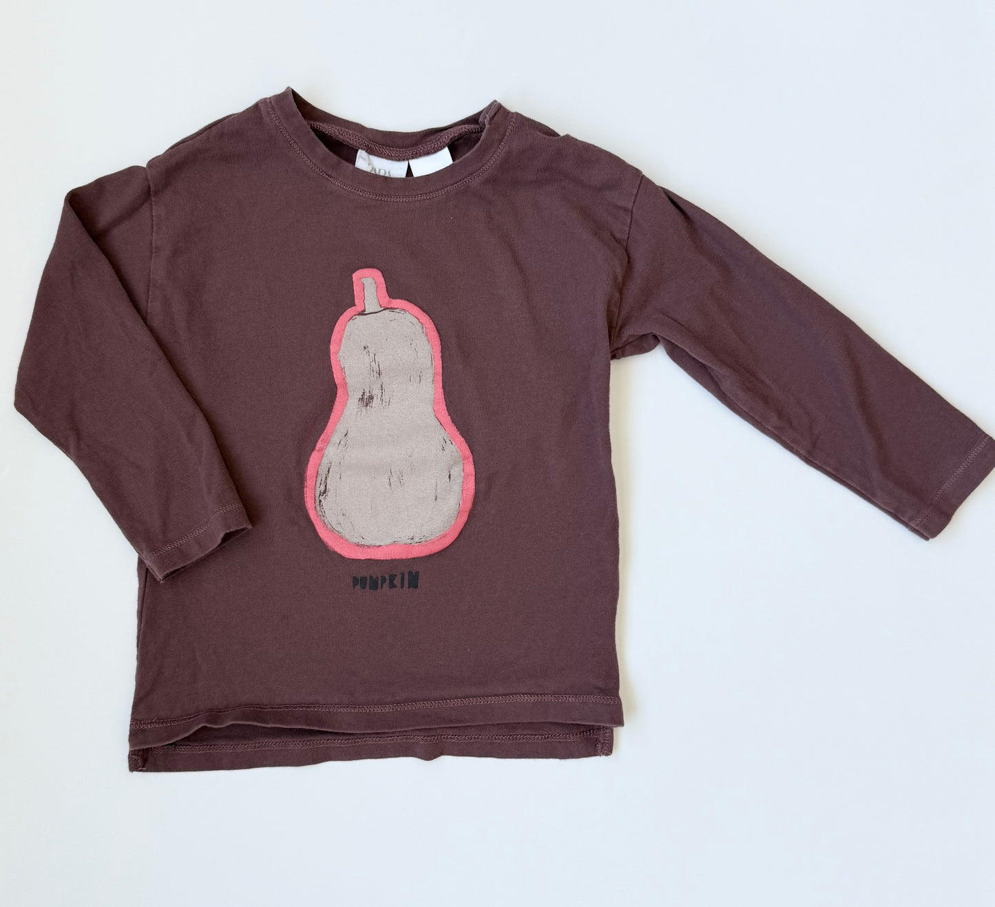 Zara Brown Pumpkin Gourd Long Sleeve (2-3 Years)
