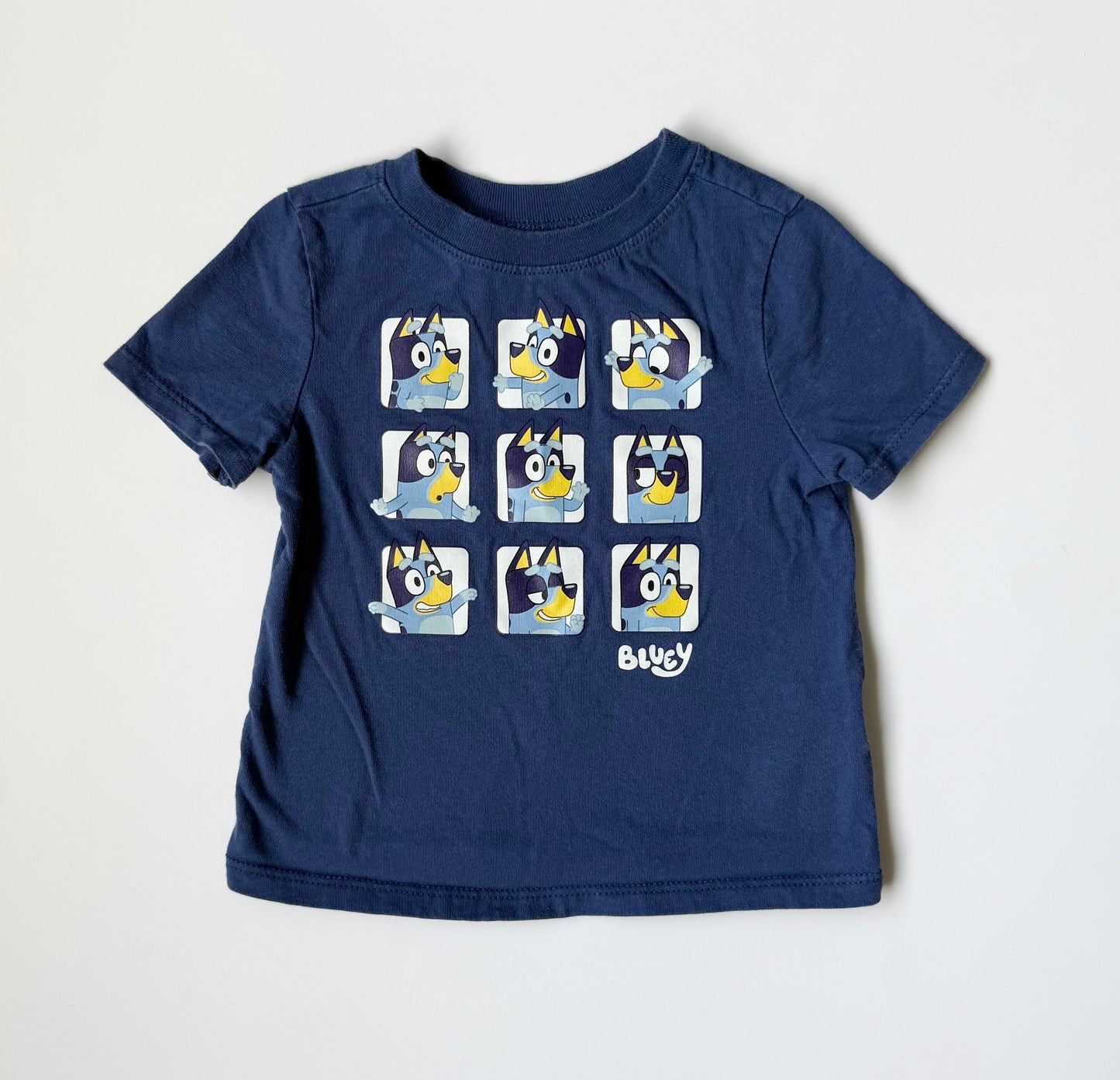 Bluey Blue T-Shirt (18-24 Months)