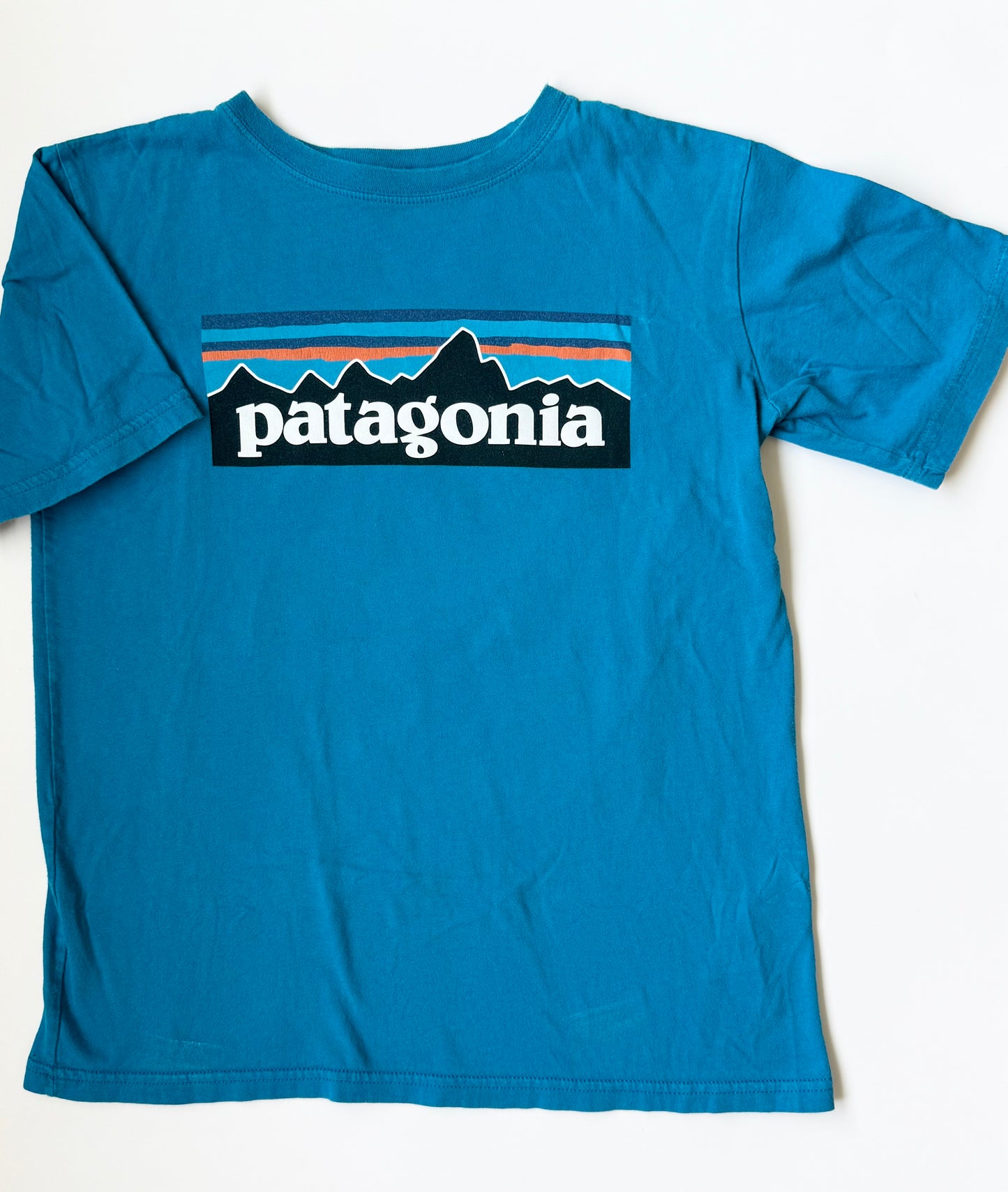 Patagonia P-6 Logo Blue T-Shirt (10 Years - M10)