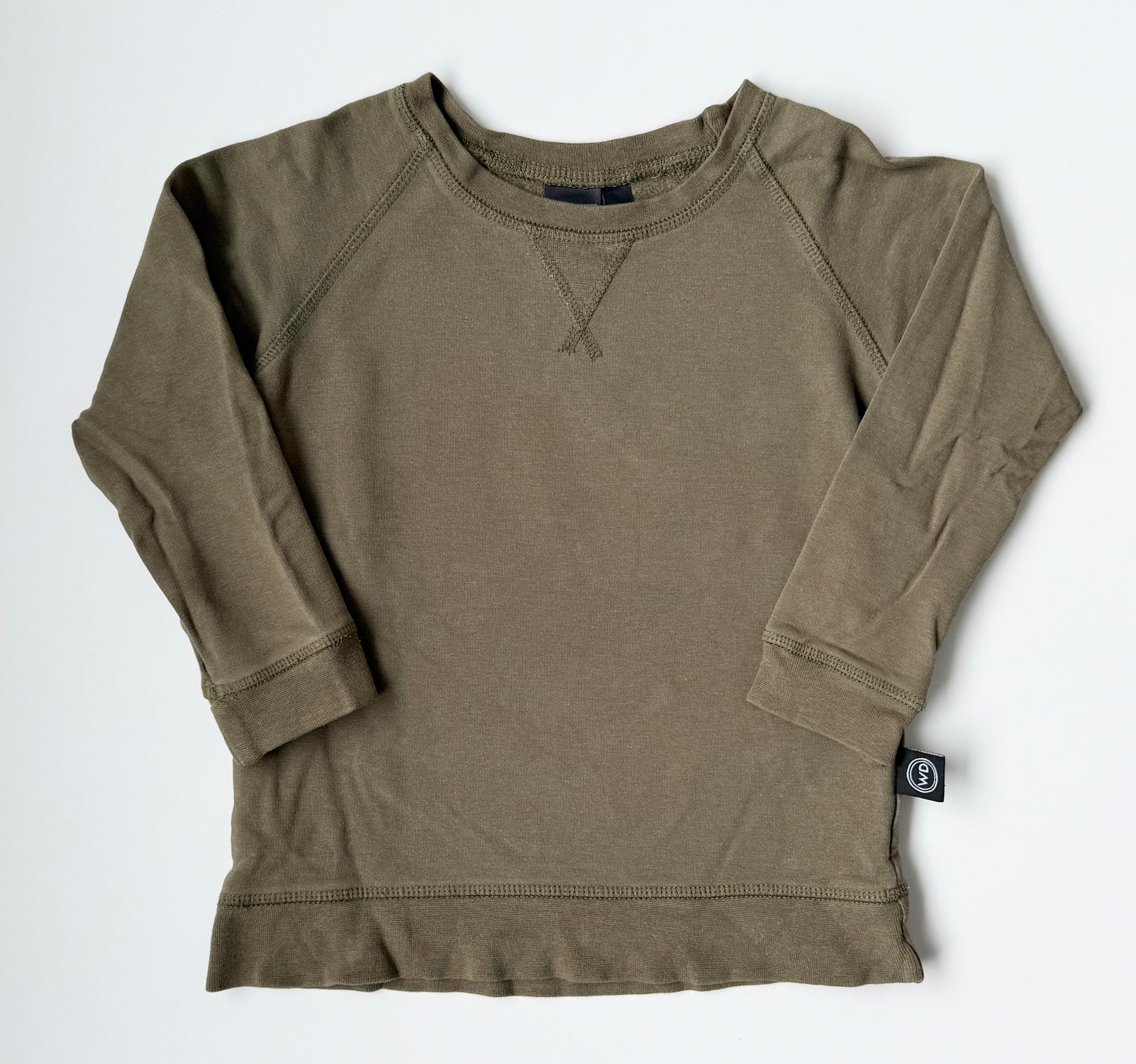 Wooly Doodle Green Pullover (2T)