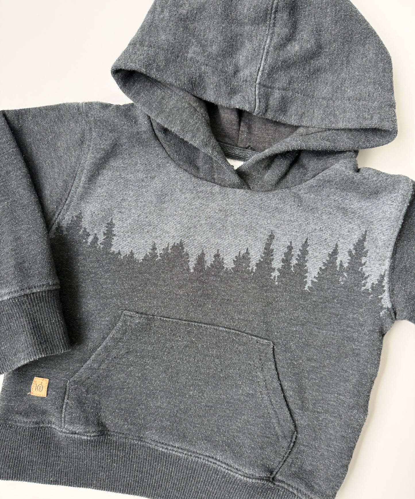 Tentree Grey Forest Hoodie (12-18 Months)