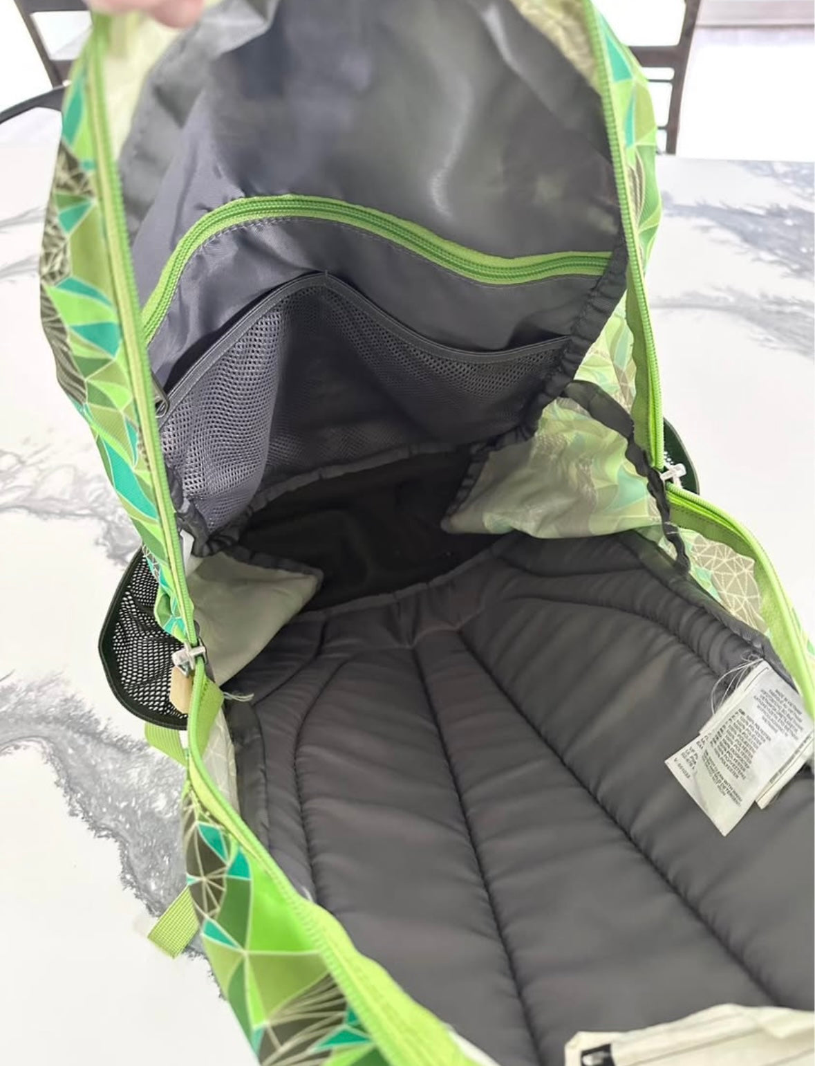 The North Face Recon Squash Green Geometric Bears Back Pack - Youth