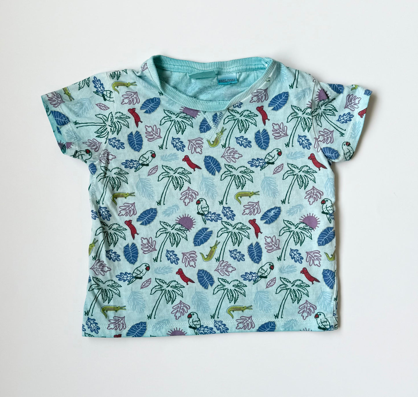 Zara Blue Tropical T-Shirt (12-18 Months)