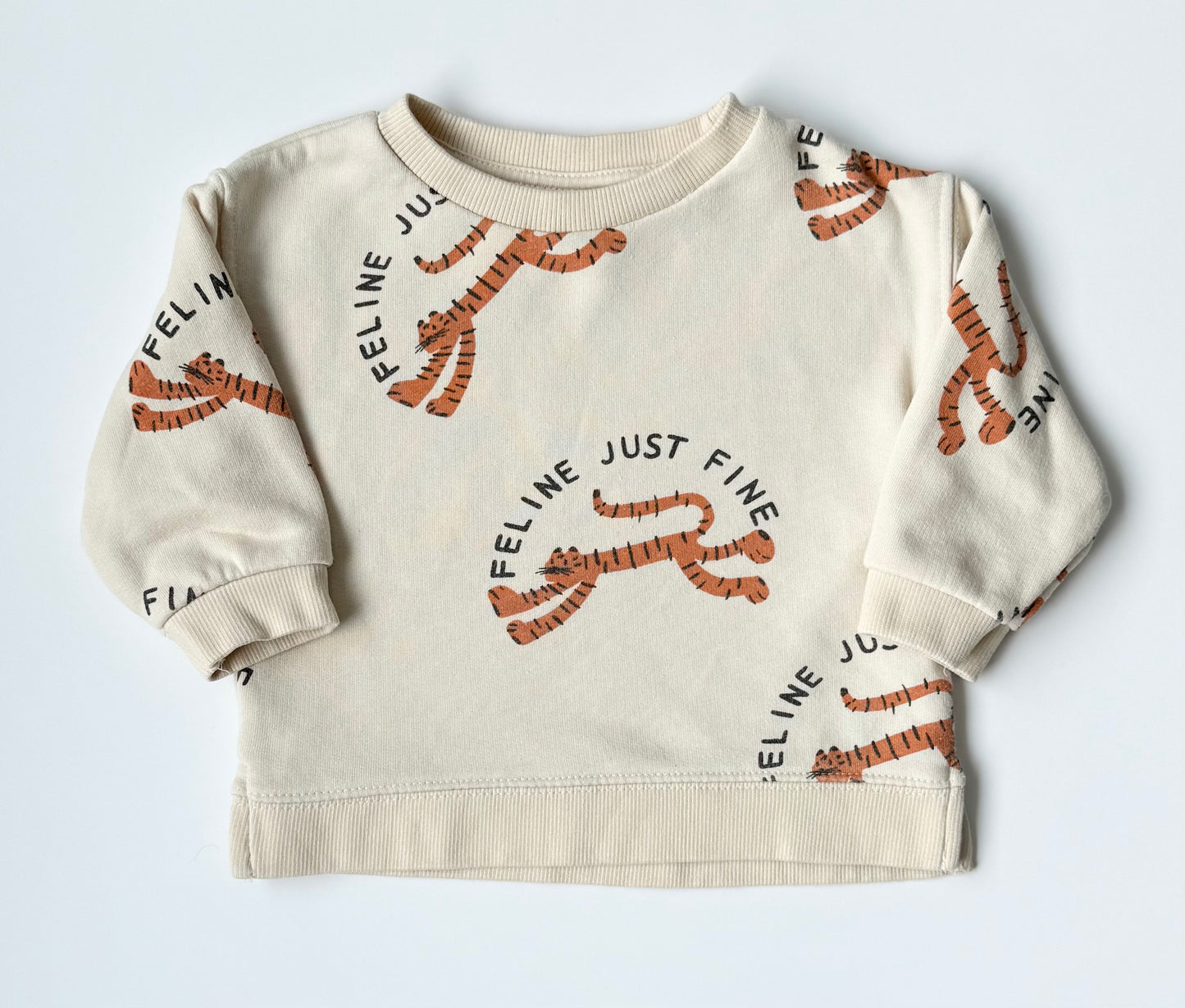 Zara Beige “Feline Just Fine” Tiger Sweater (9-12 Months)