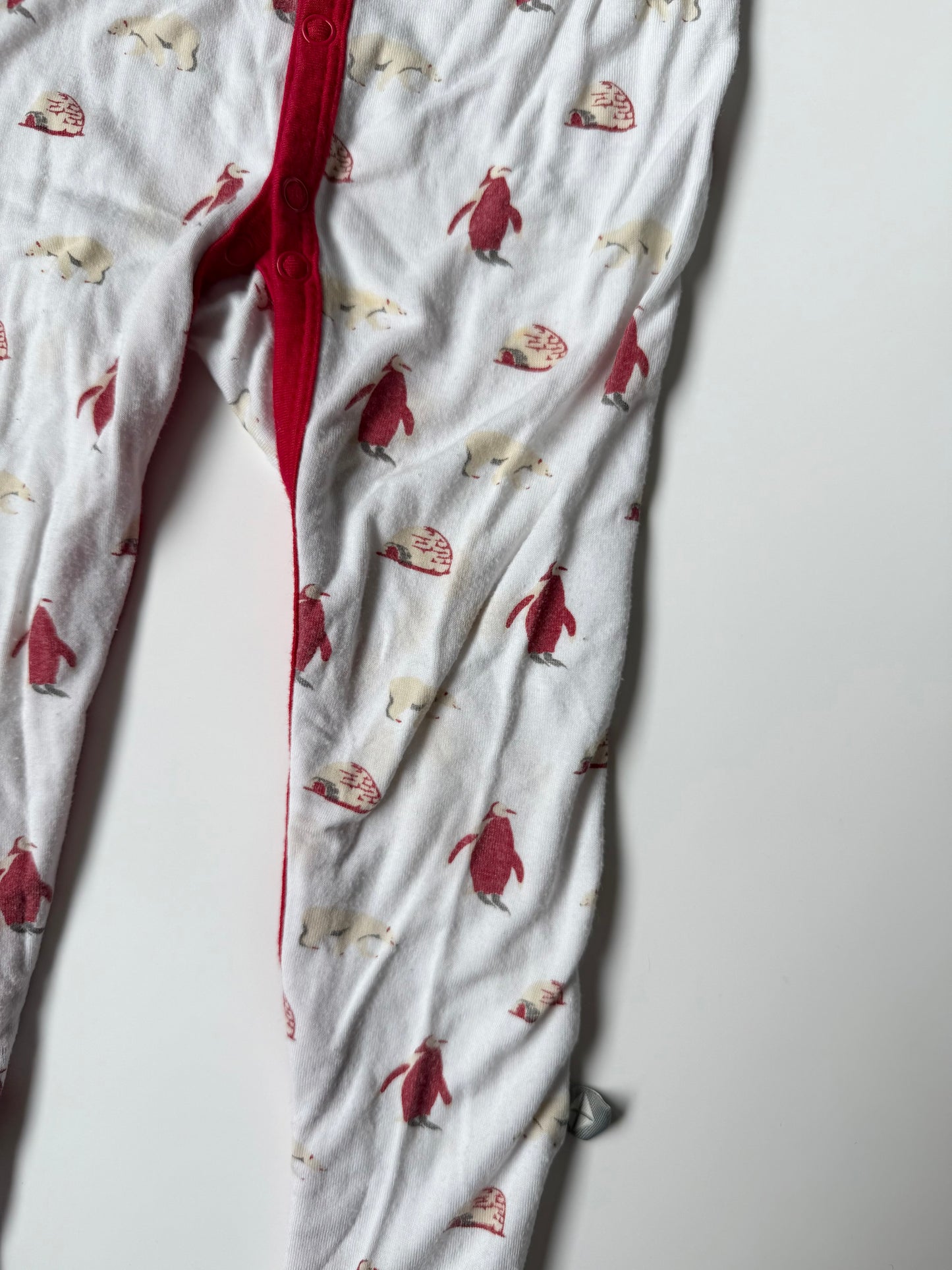 Kyte Polar Snap Footie Sleeper (12-18 Months)