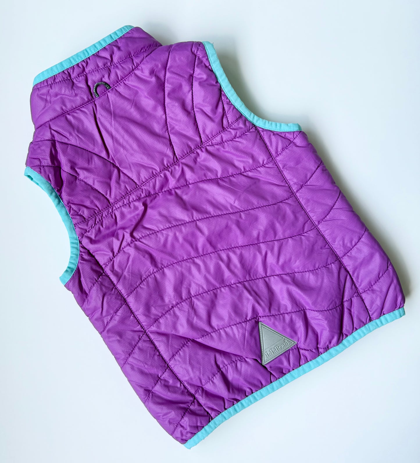 L.L.Bean Purple & Blue Trim Vest (4T)