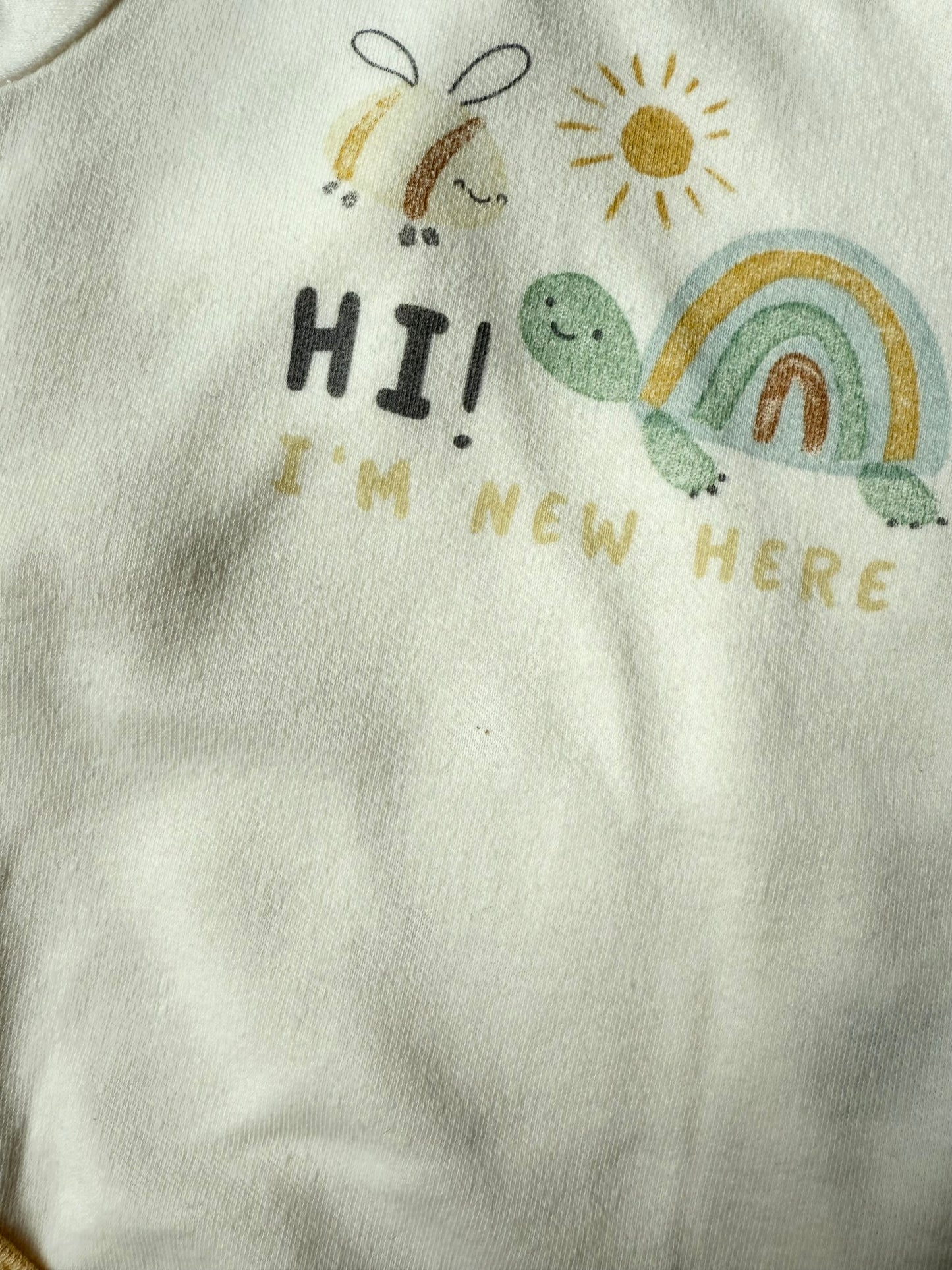 Chick Pea Bumble Bee & Turtle Bodysuit Bundle (0-3 Months)