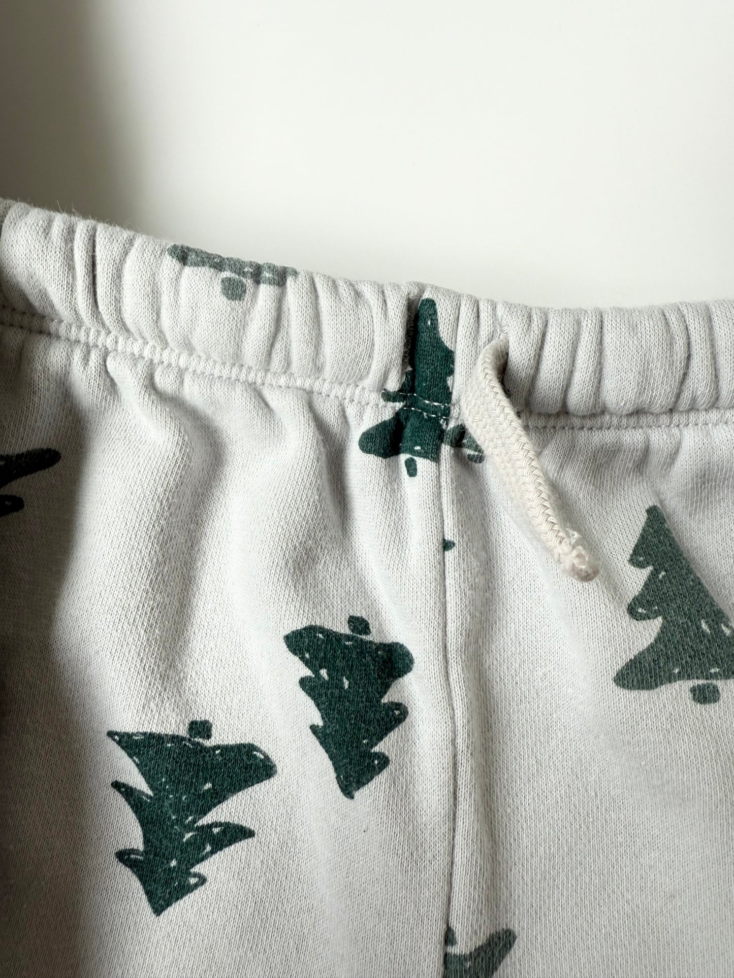 H&M Grey Trees Sweater & Pants Two Peice Set (12-18 Months)