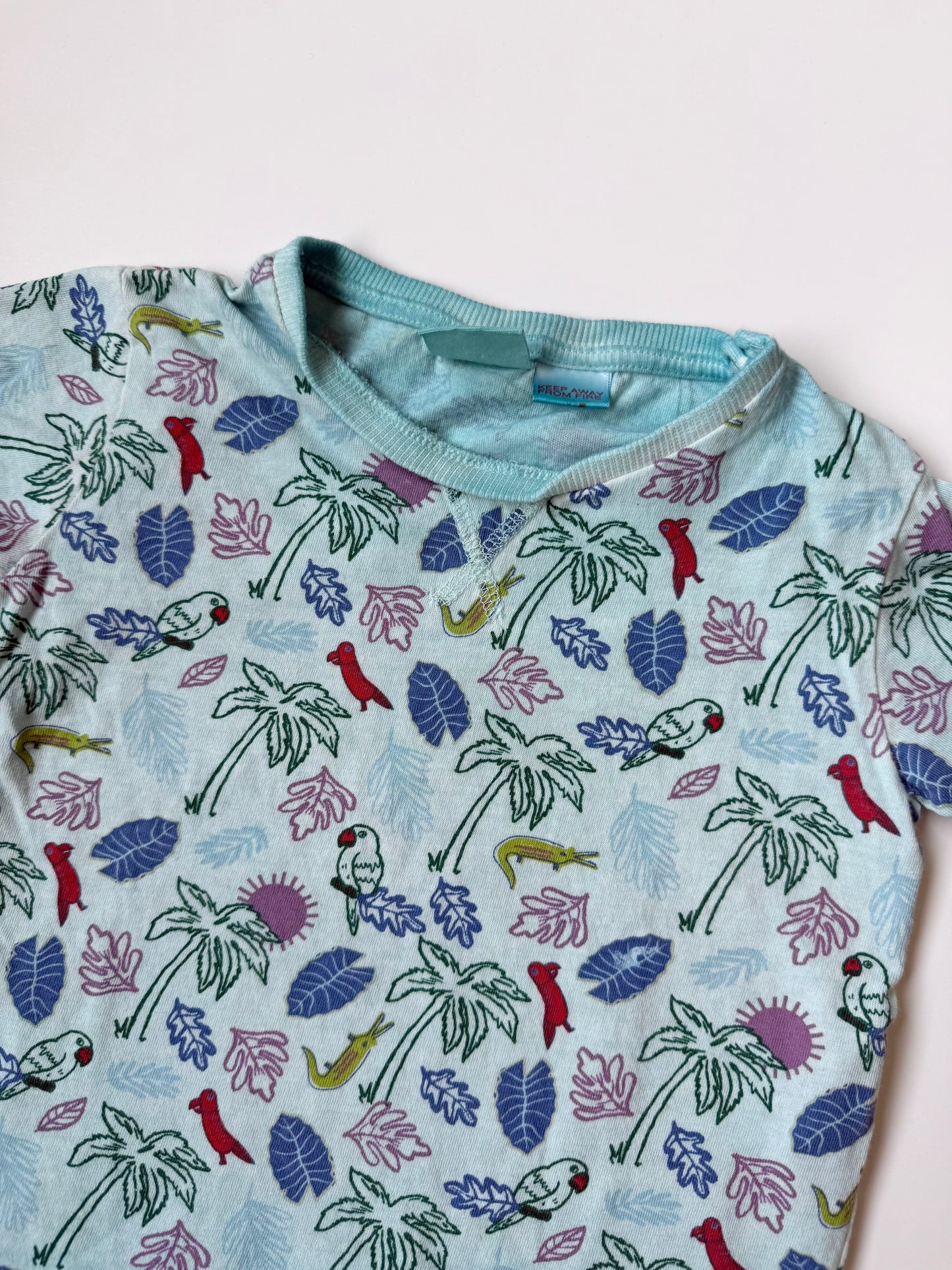 Zara Blue Tropical T-Shirt (12-18 Months)