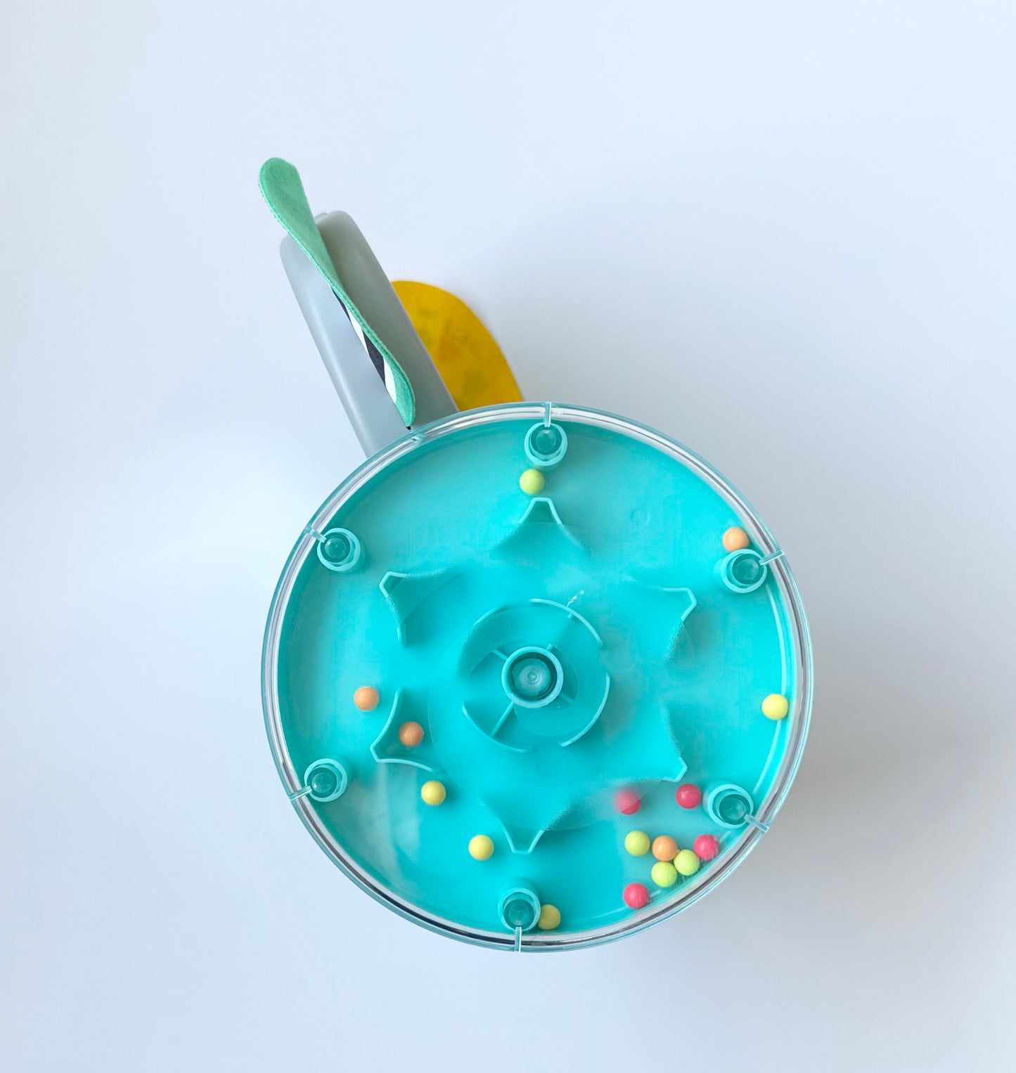 Baby Einstein Chase & Tap Earl Interactive Crawling Toy