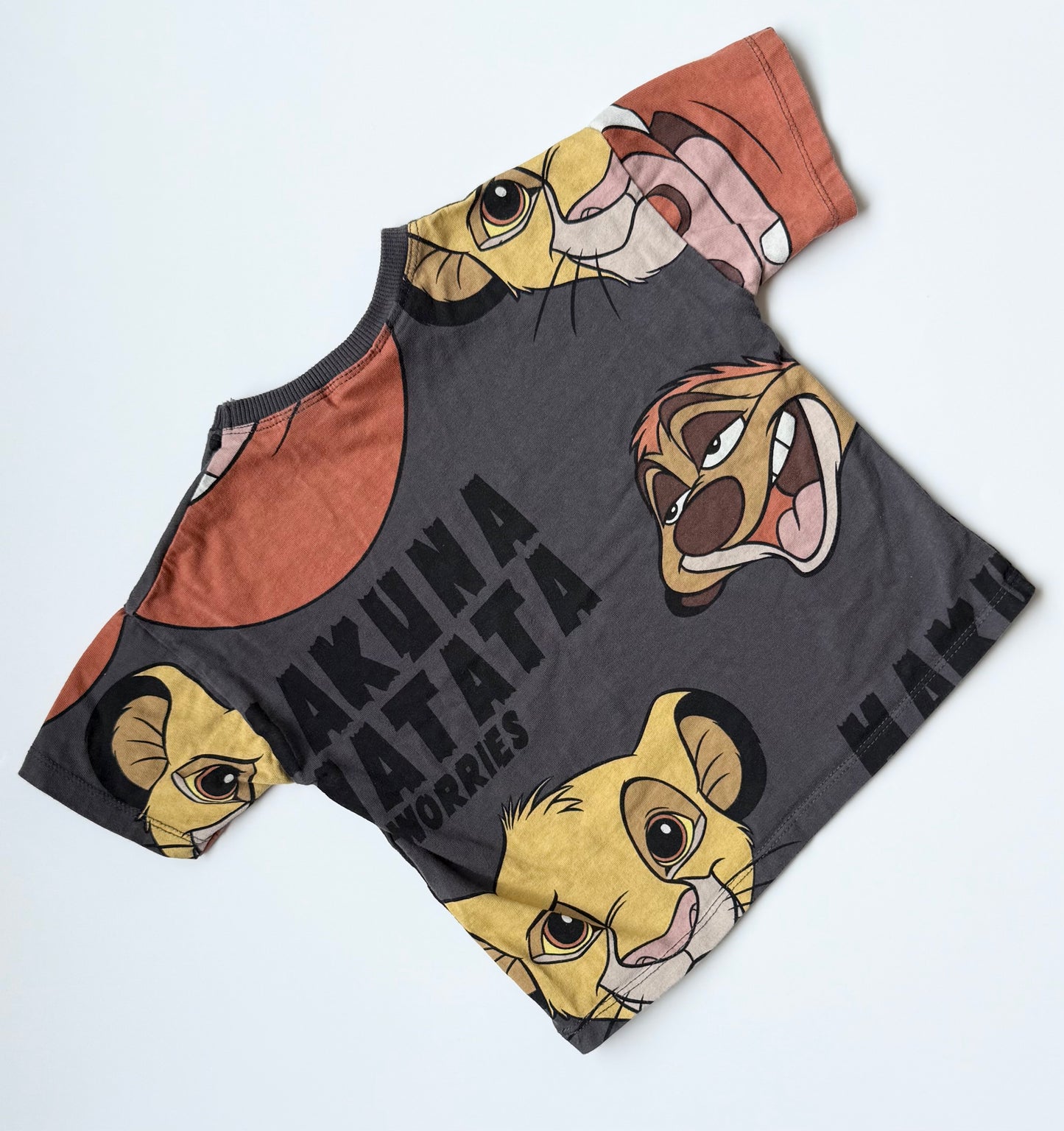 Zara x Disney Dark Grey Pumba “Hakuna Matata” T-Shirt (2-3 Years)