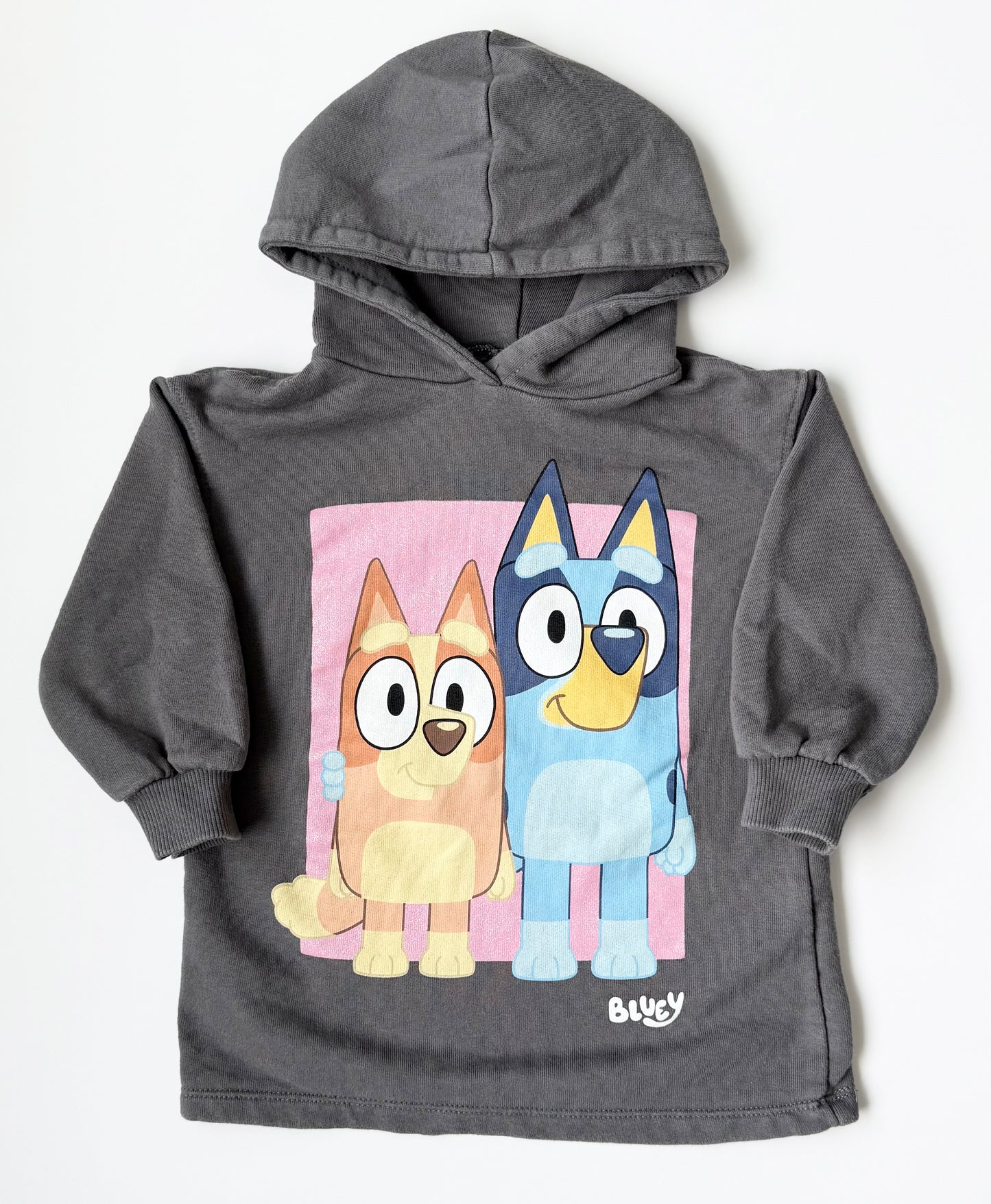 Zara x Bluey Grey Hooded Sweater Dress (18-24 Months)