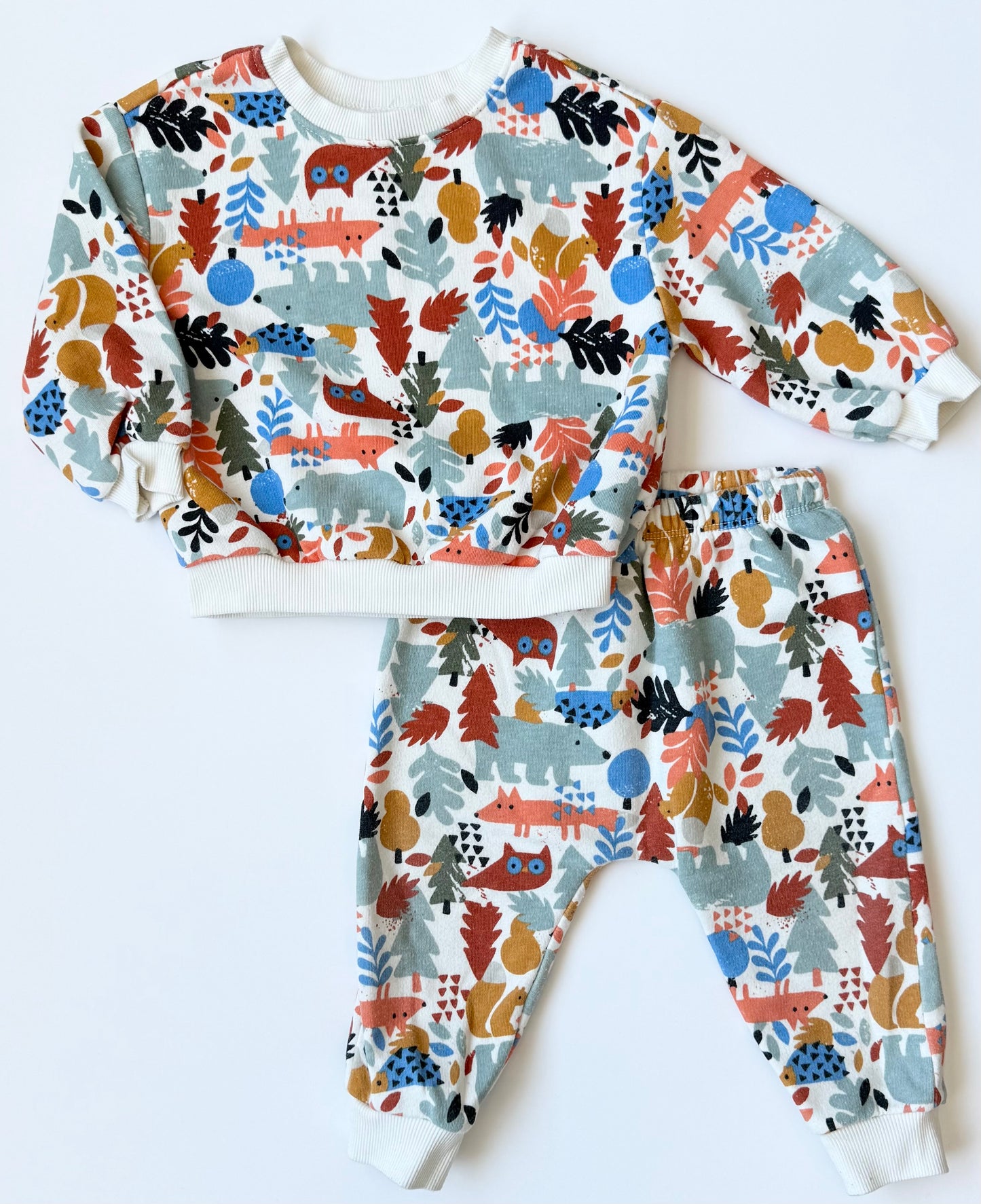 Old Navy Colorful Woodland Creatures Sweater & Pants Set (12-18 Months)