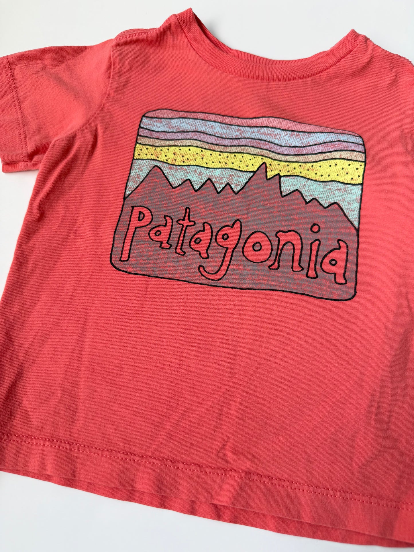 Patagonia Baby Fitz Roy Skies T-Shirt in Sunlit Pink (6-12 Months)