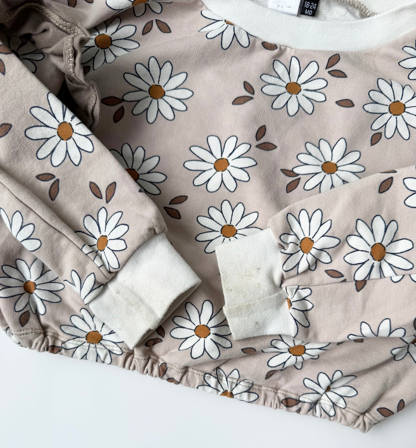 Valee Beige Daisies Cropped Sweater (18-24 Months)