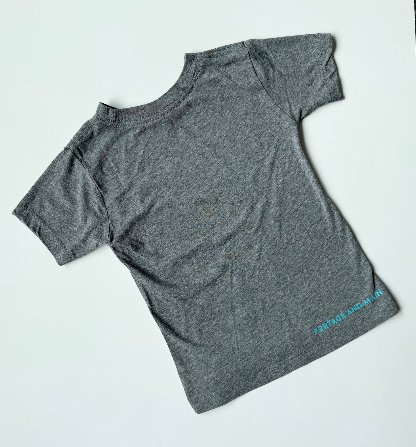 Portage & Main Grey “Poor Snack Management” T-Shirt (3T)