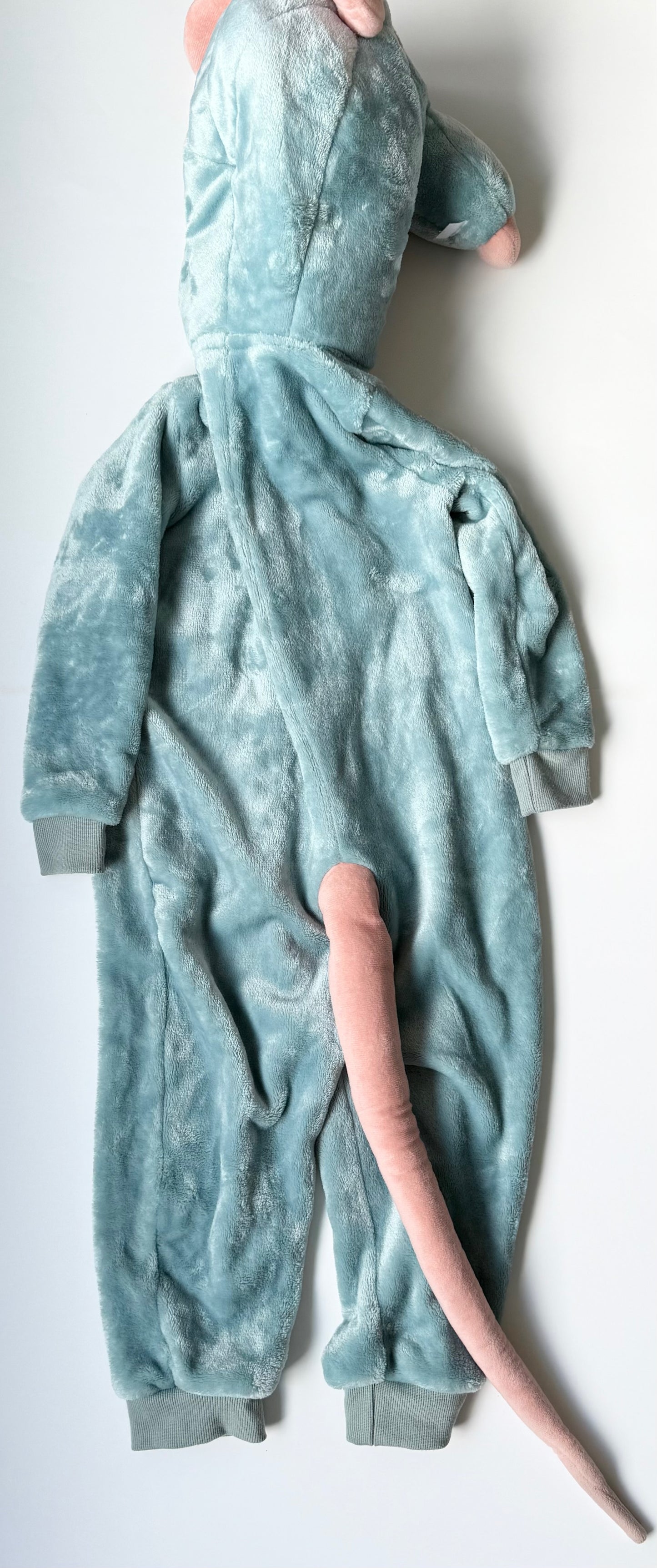 Disney x Pixar Ratatouille Remi Costume (4T)