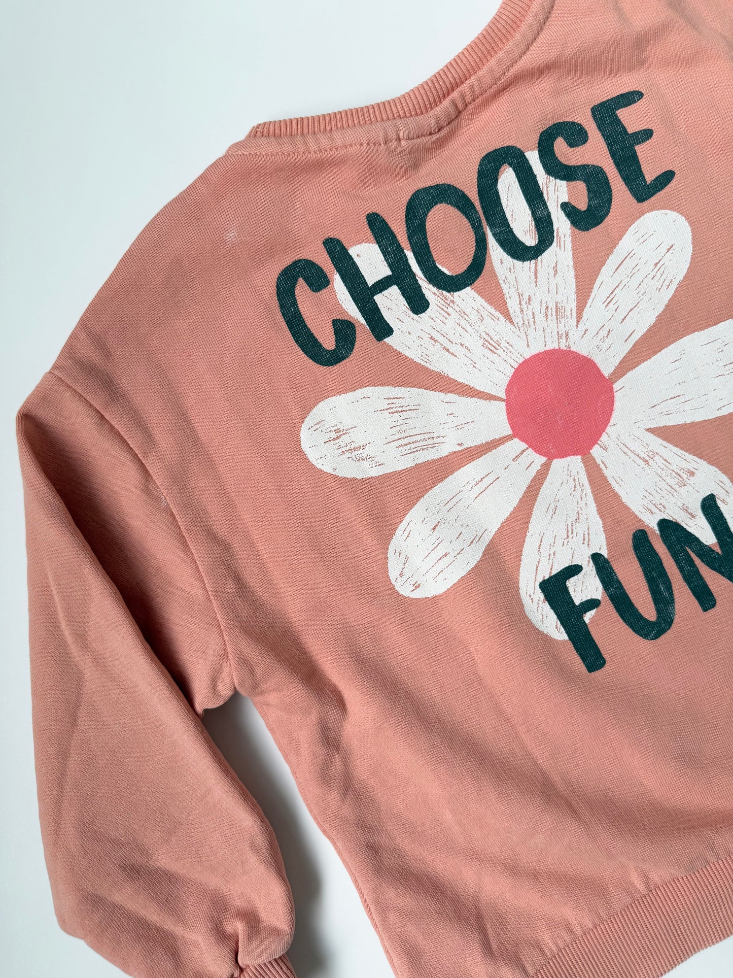 Zara Pink Daisy “Choose Fun” Crewneck Sweater - New (4-5 Years)