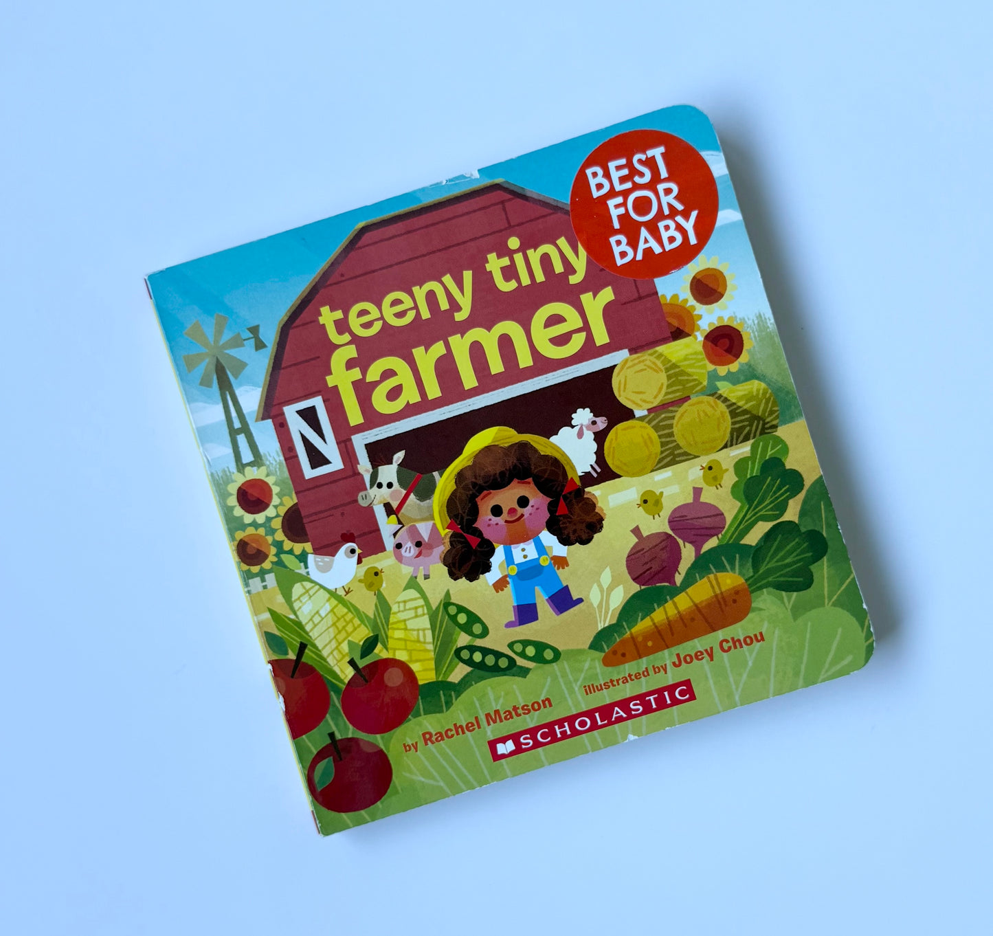 Teeny Tiny Farmer Board Book
