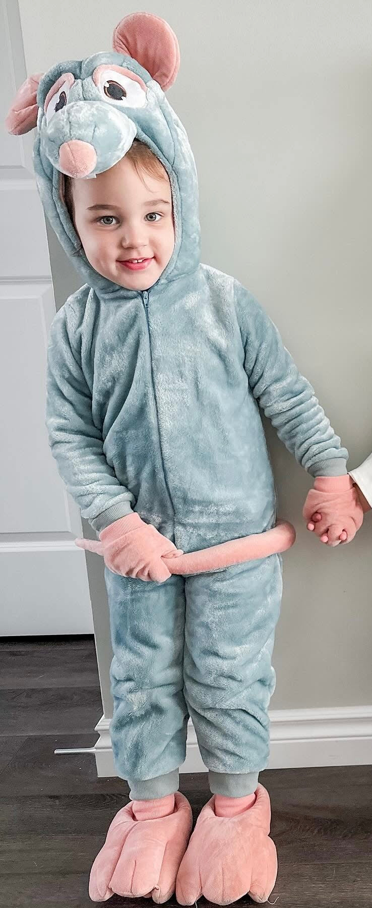 Disney x Pixar Ratatouille Remi Costume (4T)