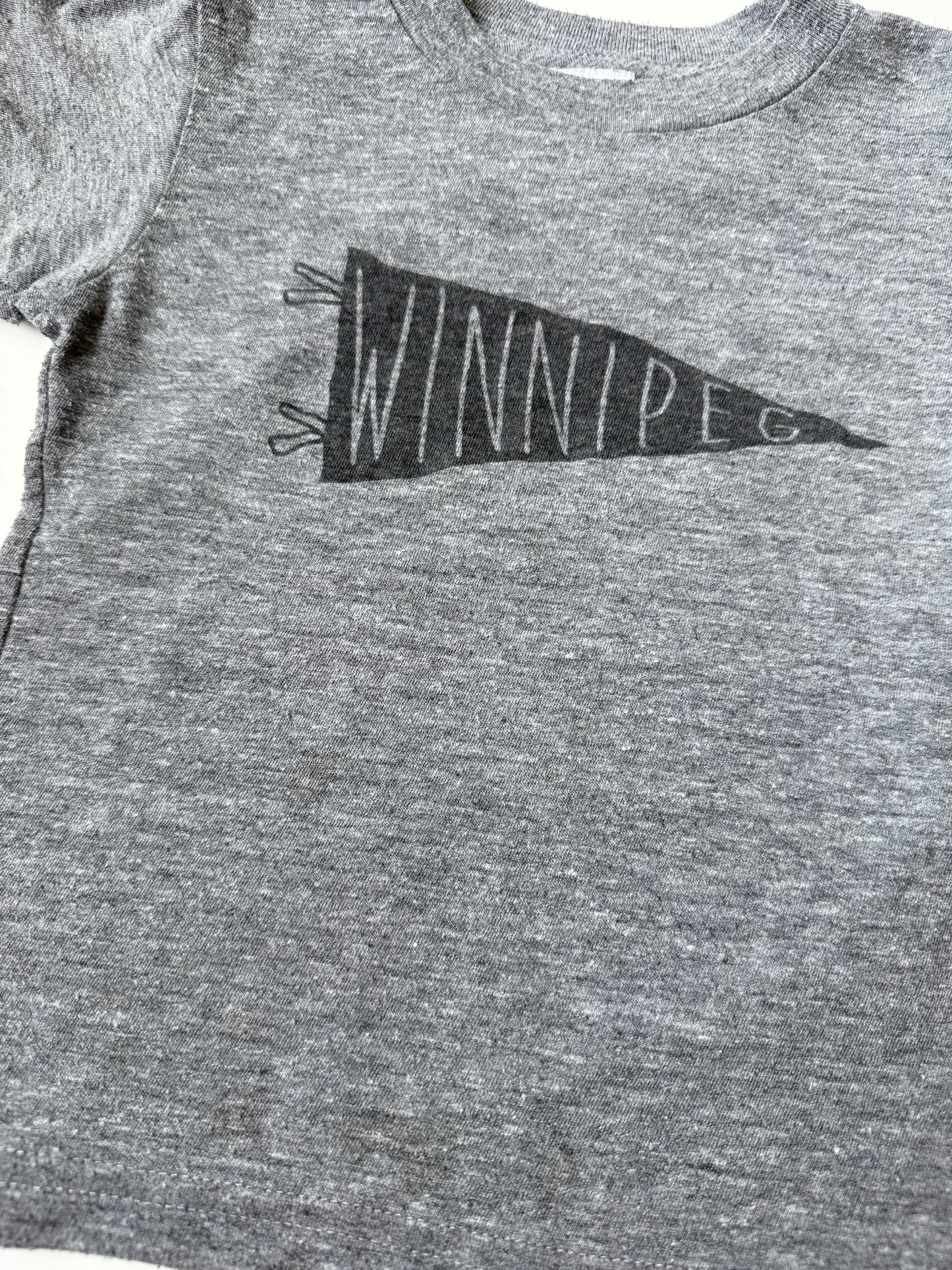 LCMTV Grey Winnipeg T-Shirt (2T)
