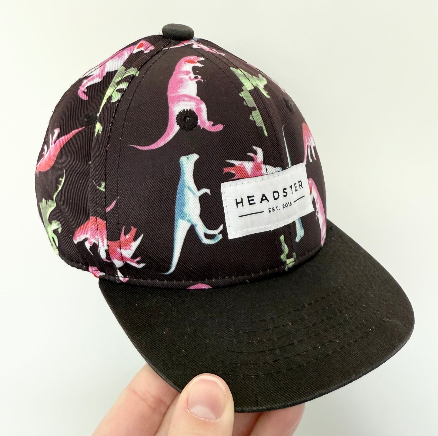 Headster Black Dinosaur SnapBack Hat (48CM)