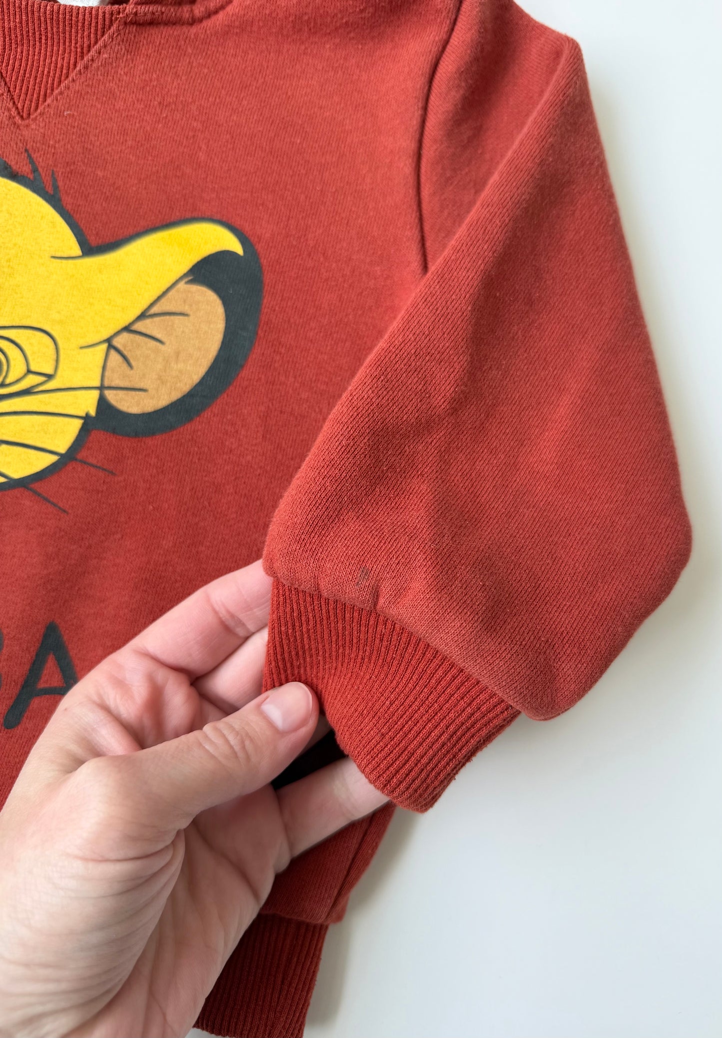 H&M x Disney Lion King Dark Orange “Simba” Hoodie (3T)
