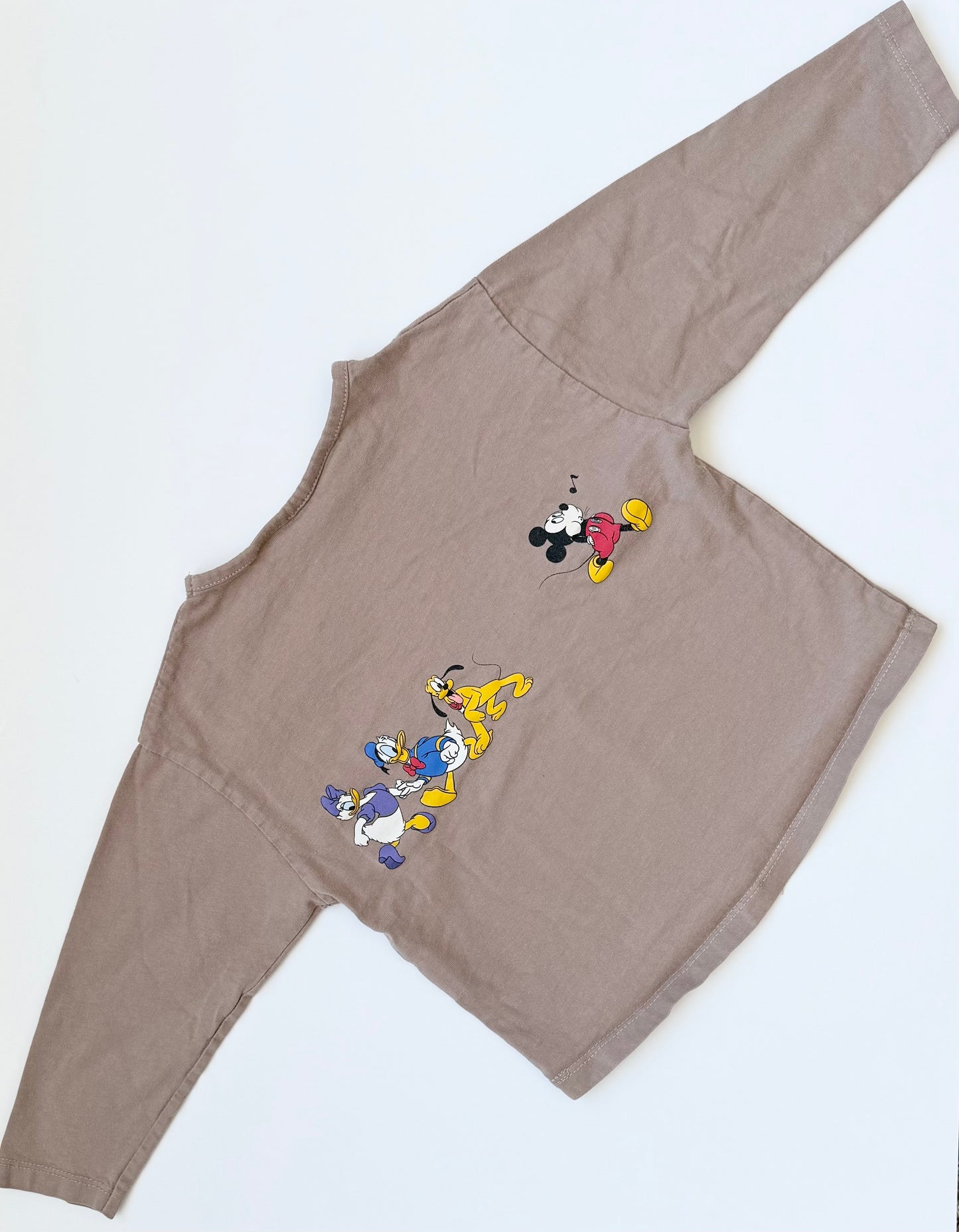 Zara Disney Light Brown Characters Long Sleeve (2-3 Years)