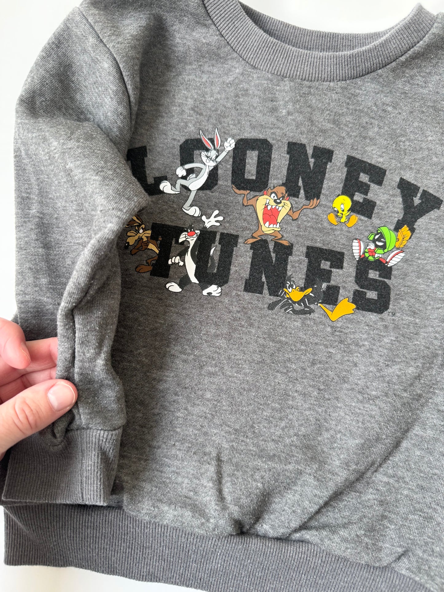 Looney Tunes Dark Grey Characters Sweater (3T)
