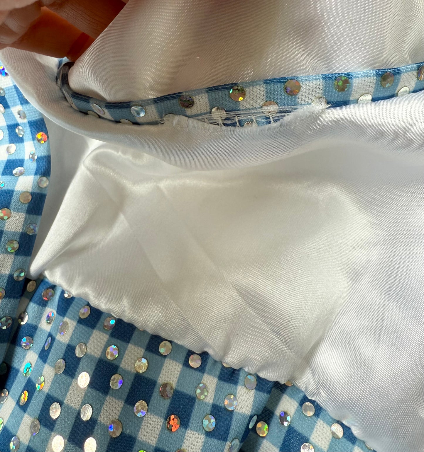 Rubies Wizard of Oz Dorothy Costume (5-7 Years)