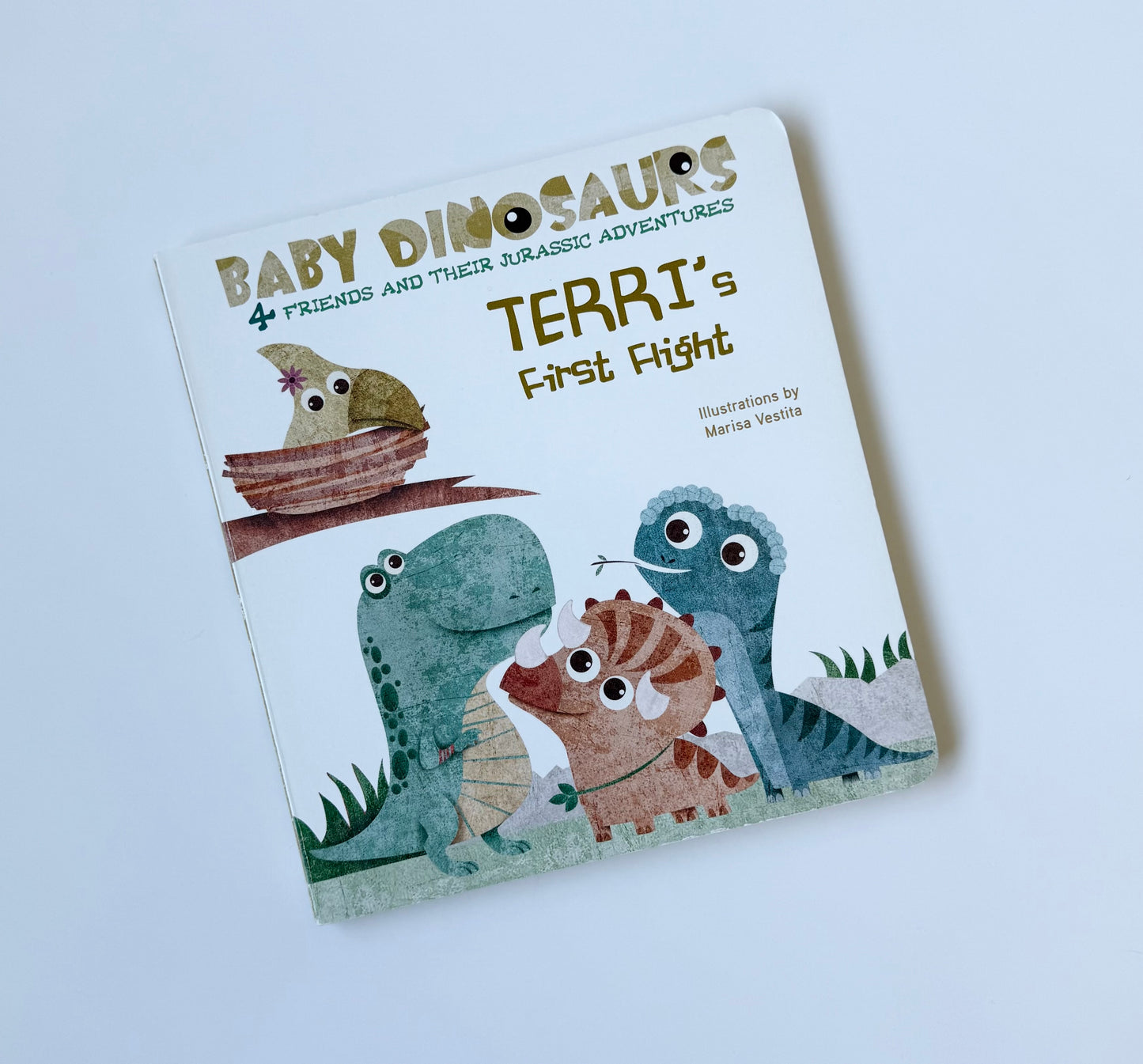 Baby Dinosaurs Terri’s First Fight Board Book