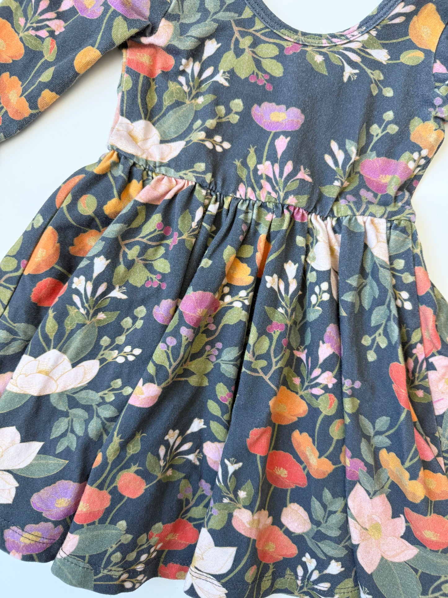 Alice + Ames Dark Spring Floral 3/4 Length Sleeve Ballet Dress (2T)