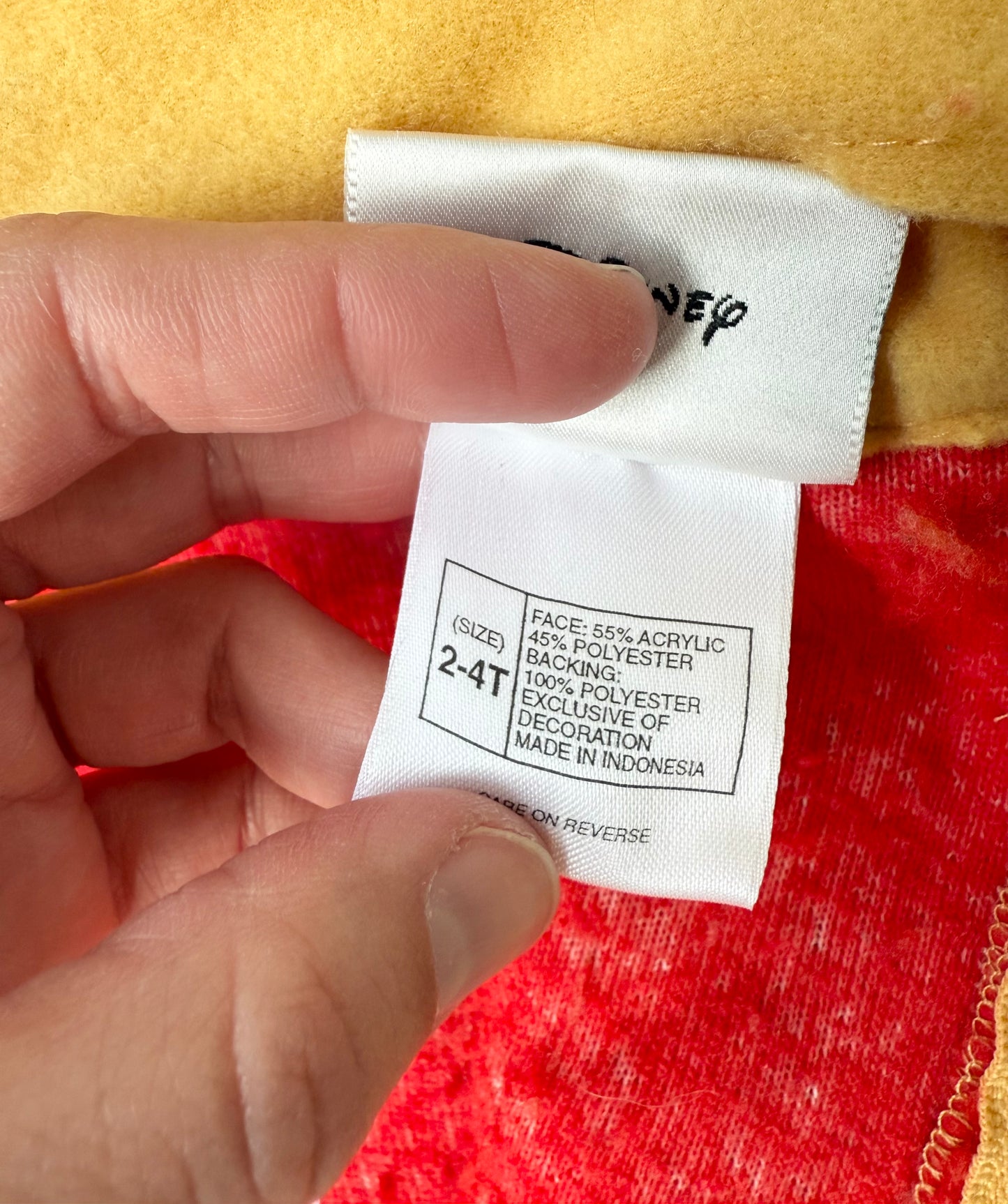 Vintage/Y2K Walt Disney World Kids Sherpa Winnie the Pooh Costume (2-4 Years)