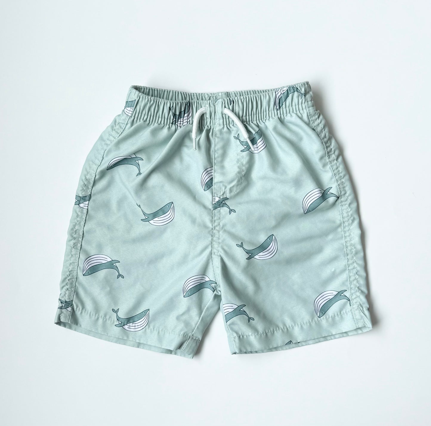 Rise Little Earthlings Green Whales Swim Trunks (18-24 Months)