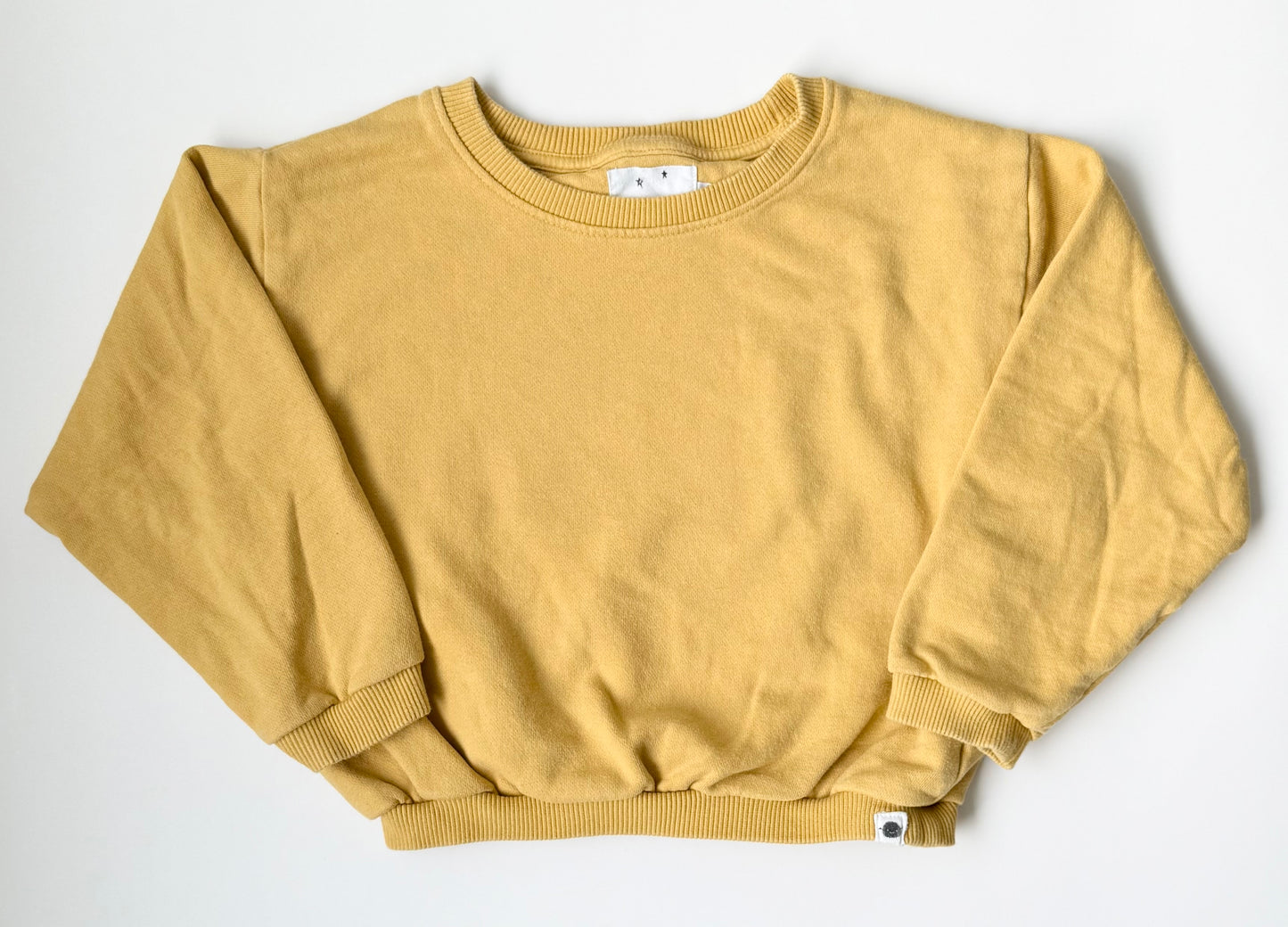 Rise Little Earthlings Yellow Crewneck Sweater (3-4 Years)