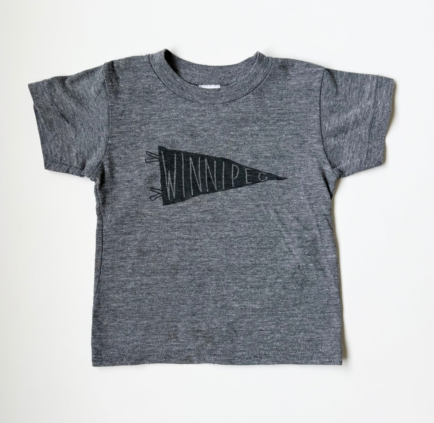 LCMTV Grey Winnipeg T-Shirt (2T)
