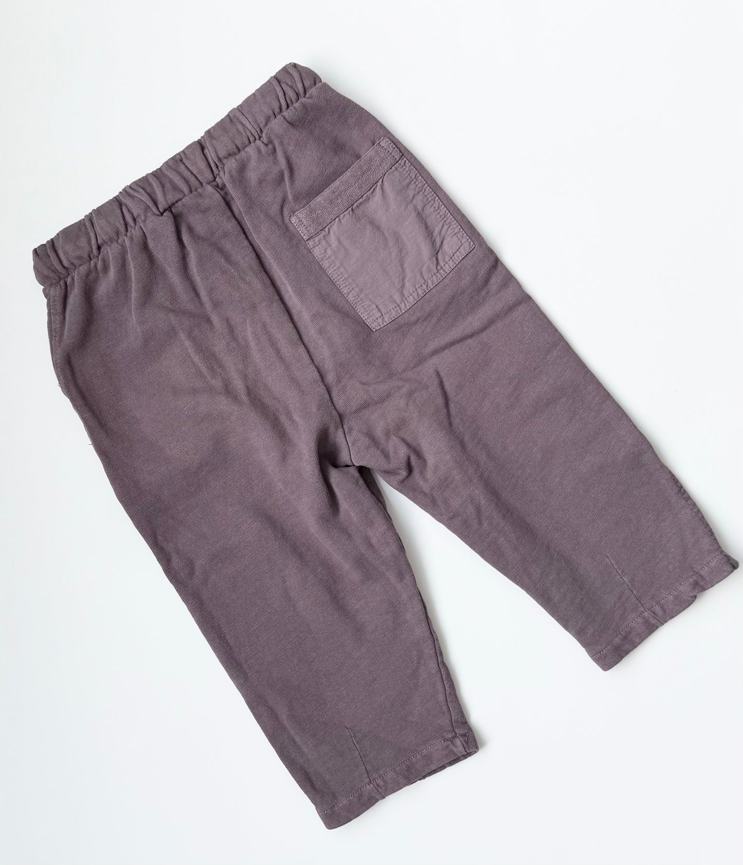 Zara Dark Purple Pants (3-4 Years)