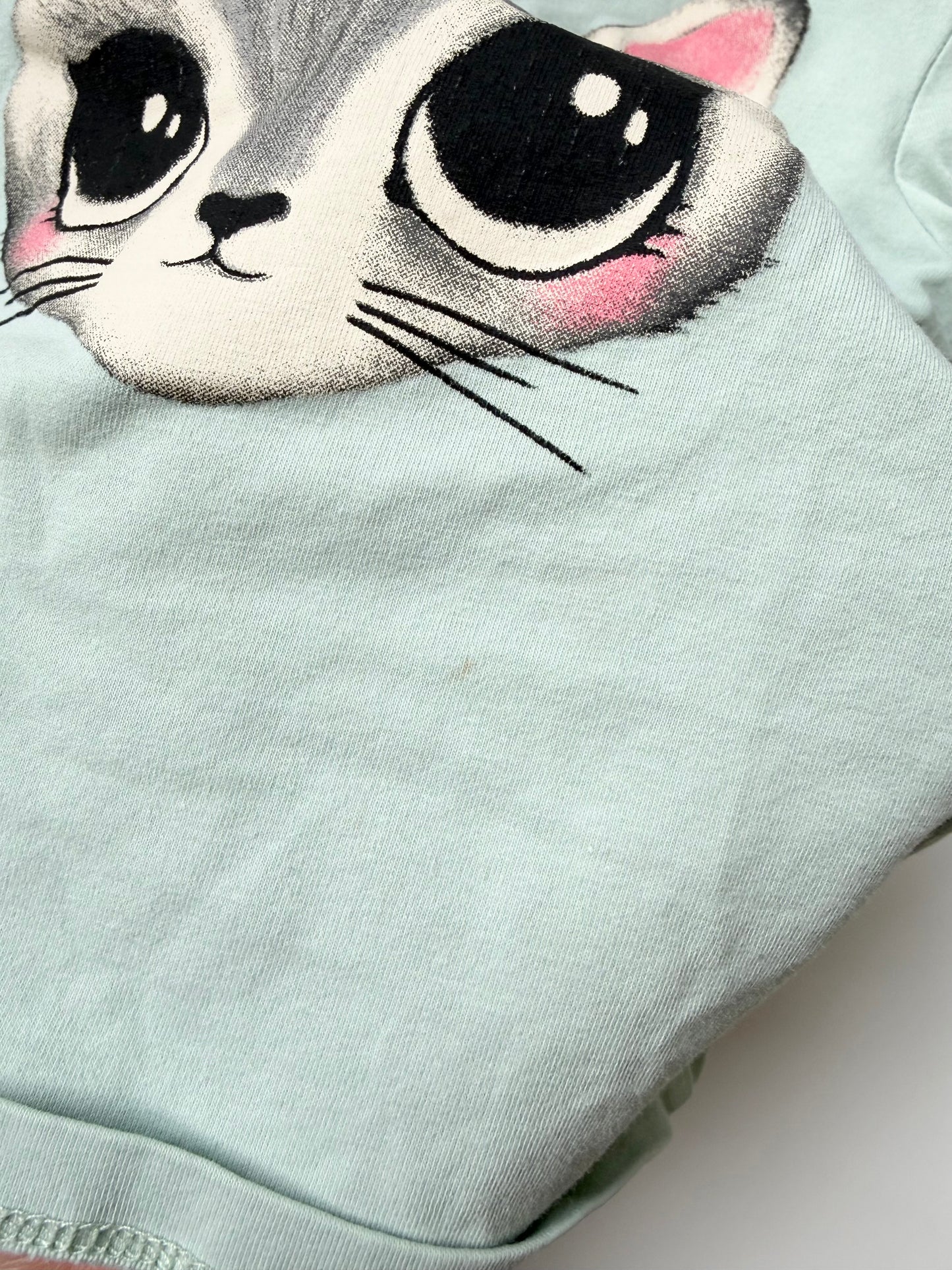 H&M Green Bunny Long Sleeve (2-4 Years)