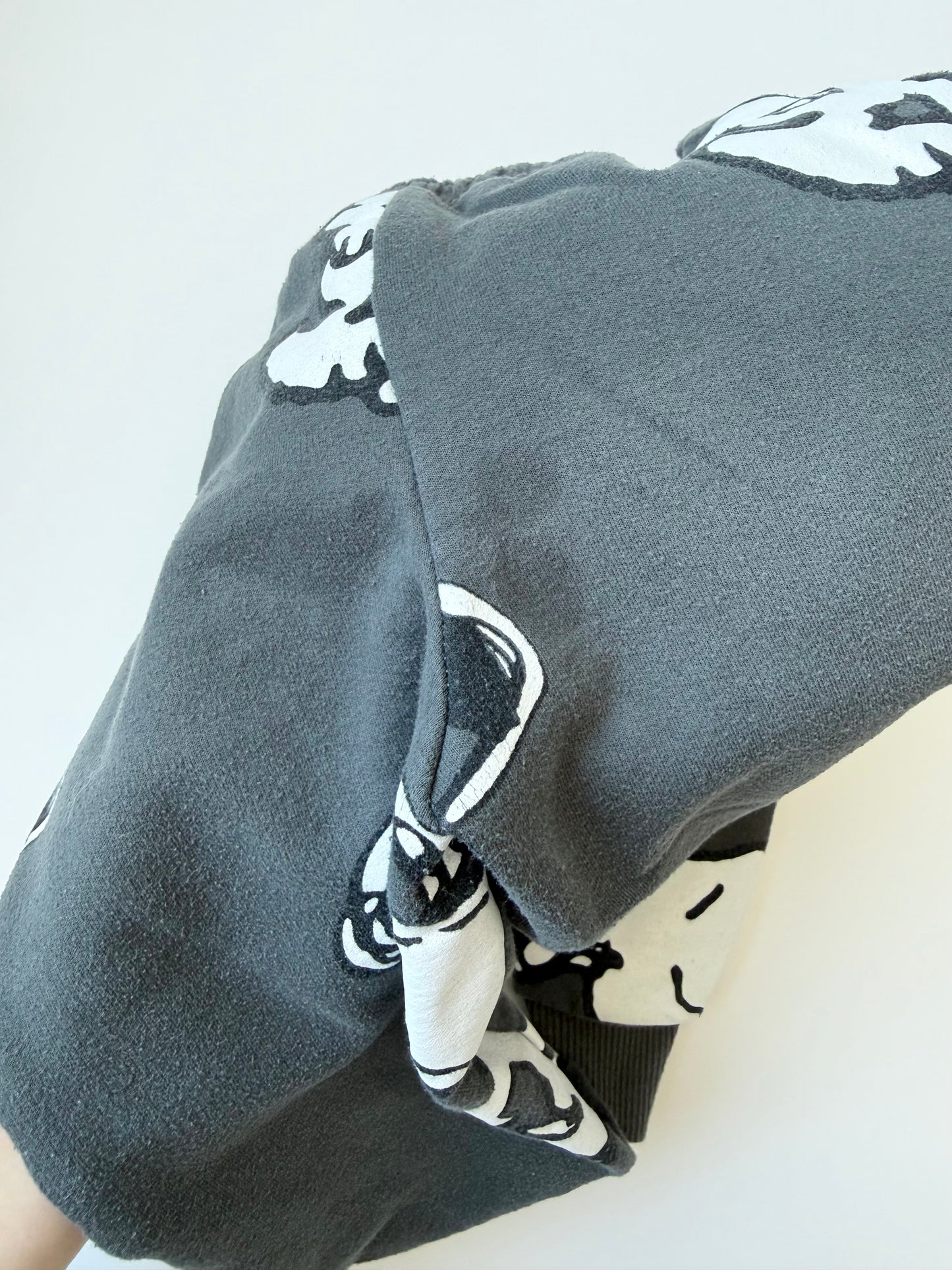 Peanuts x Snoopy Grey Hoodie & Pants Set (3T)