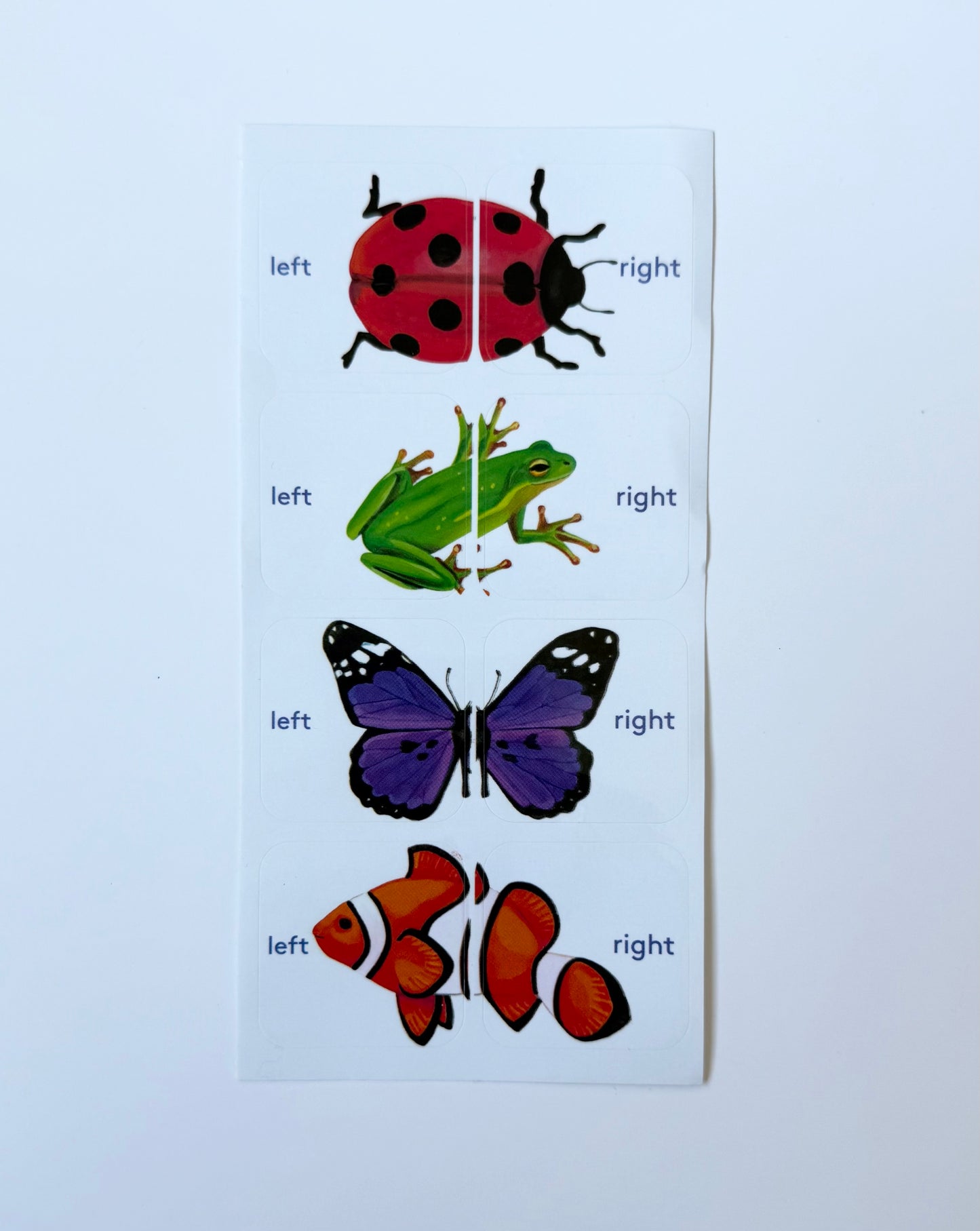 Lovevery Left & Right Shoe Stickers