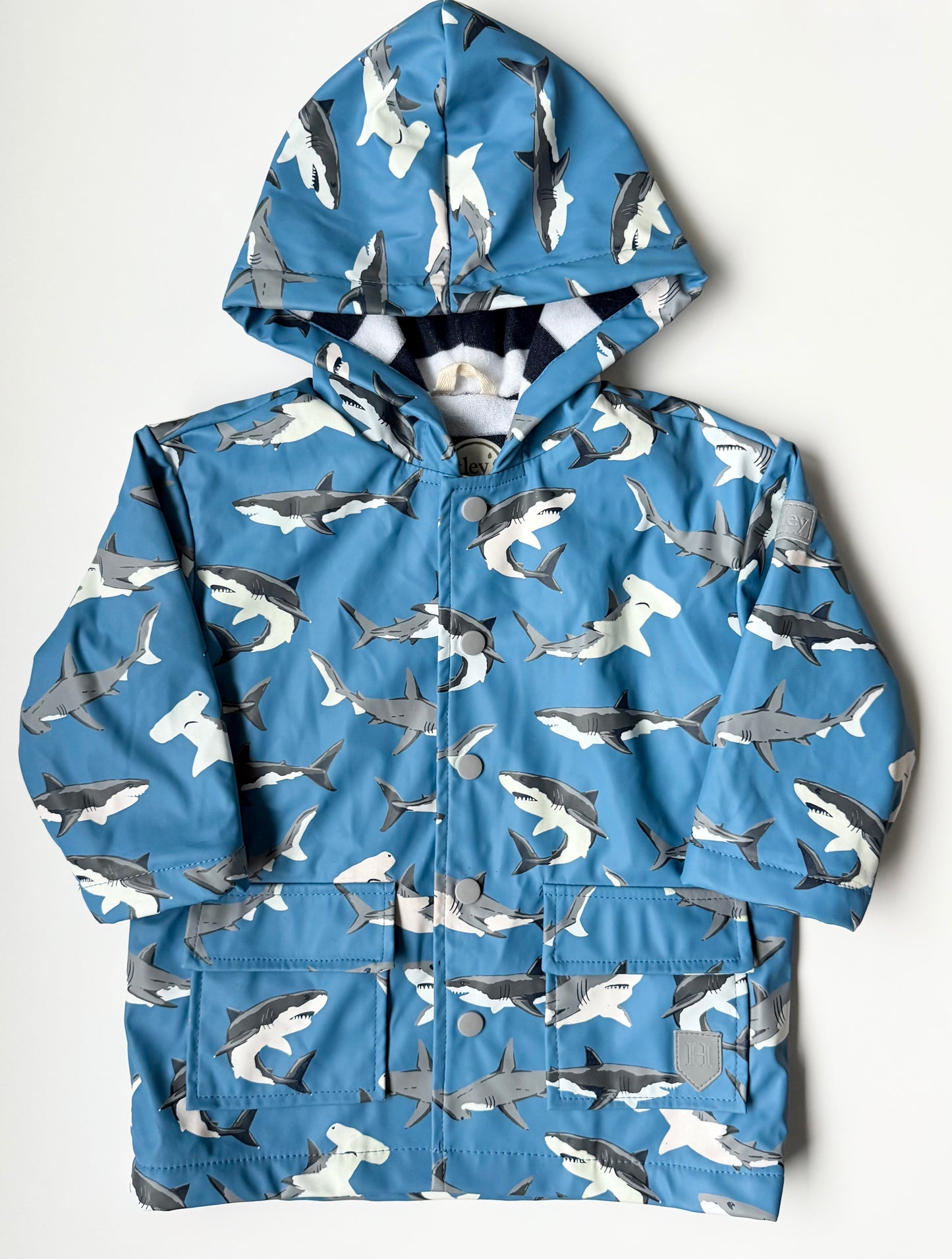 Hatley Blue Sharks Rain Jacket (2T)