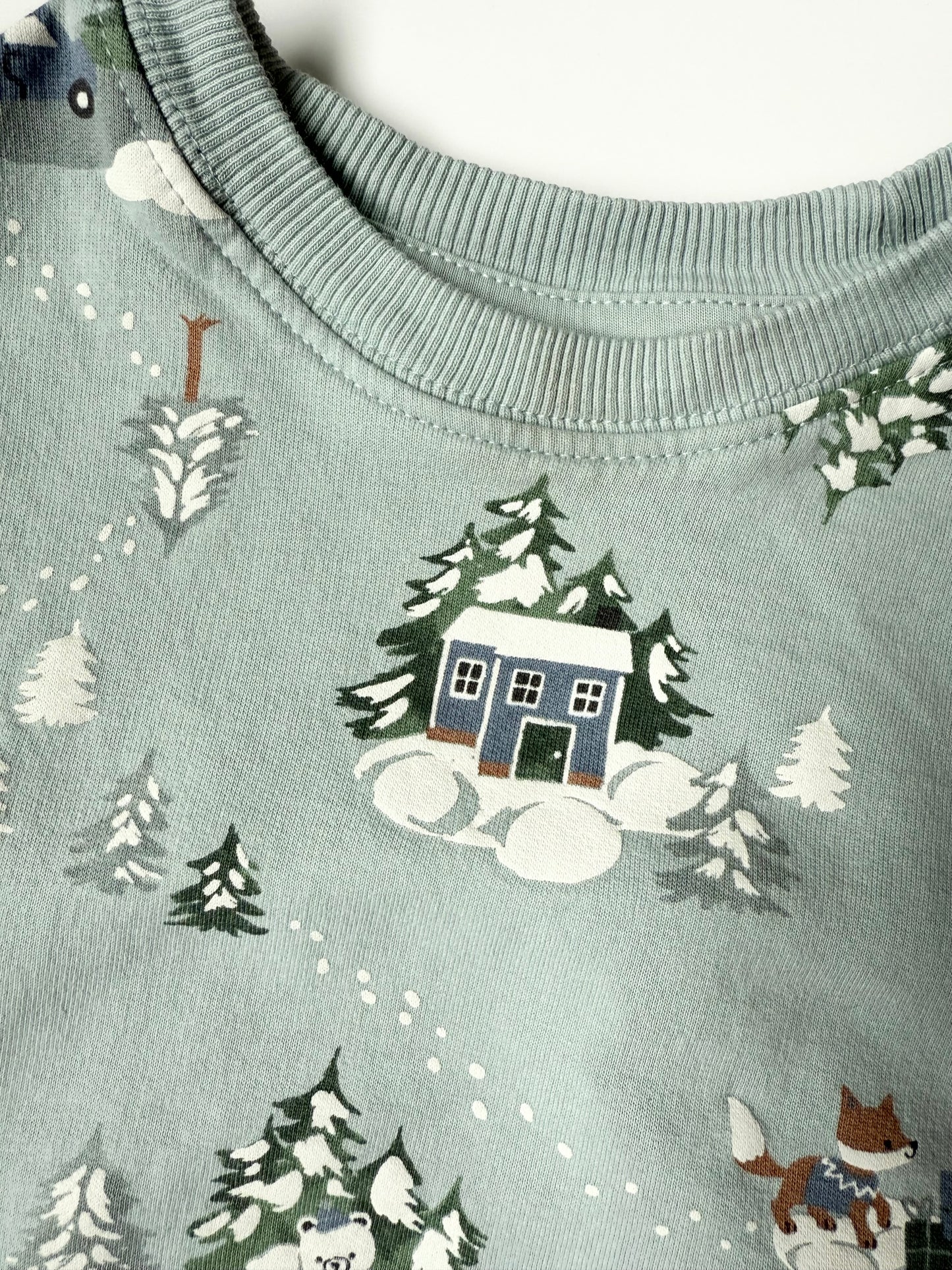 H&M Winter Wonderland Sweater & Pants Two Peice Set (2-3 Years)