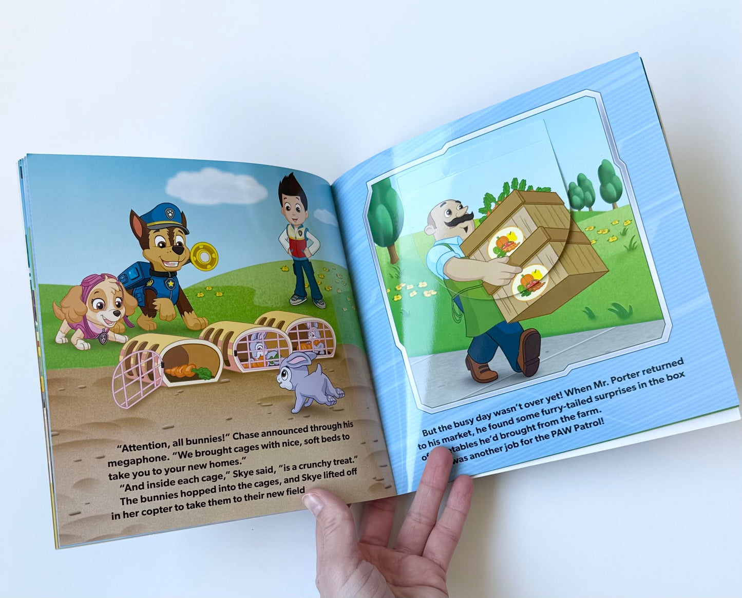Paw Patrol The Pups Save The Bunnies Flap Book
