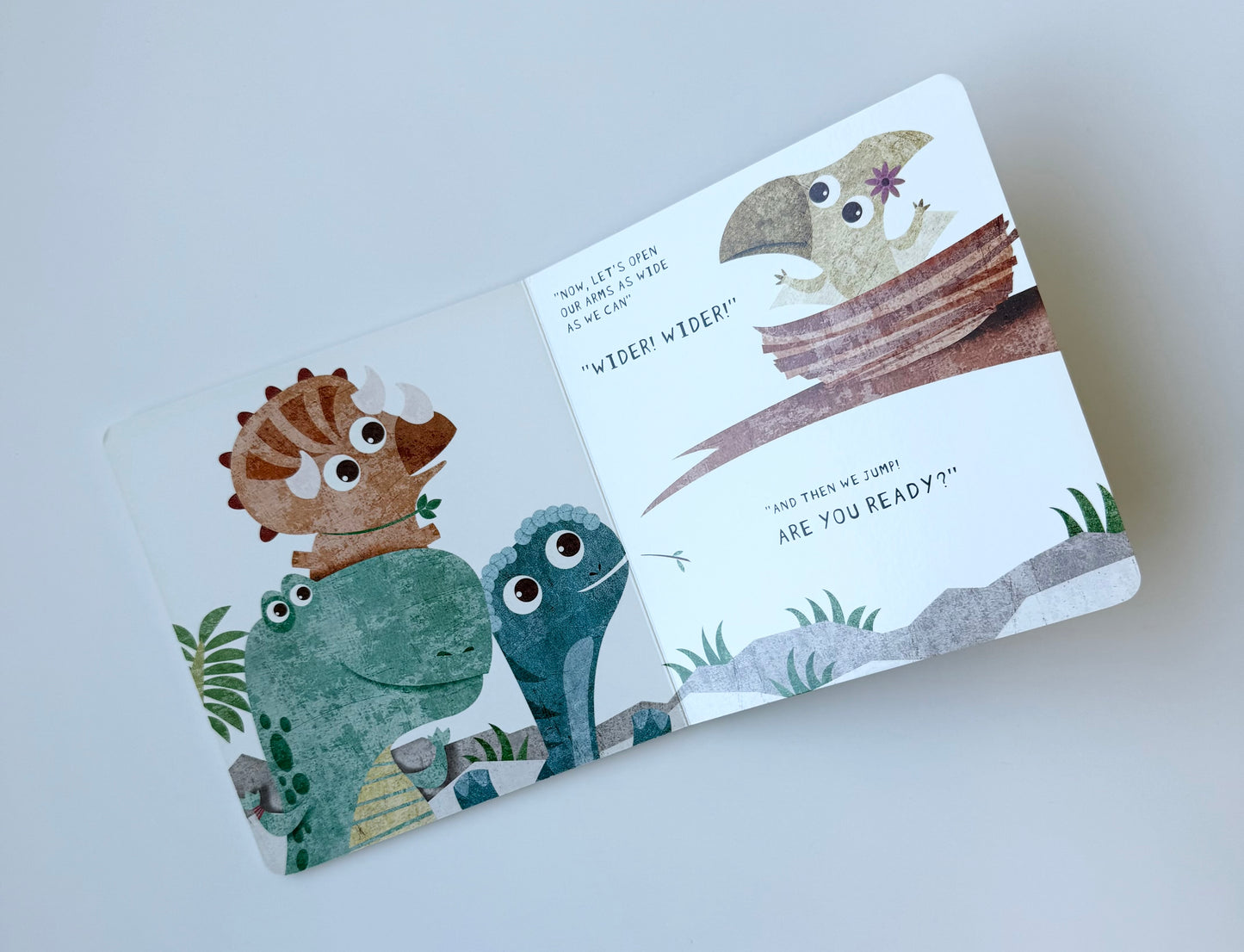 Baby Dinosaurs Terri’s First Fight Board Book