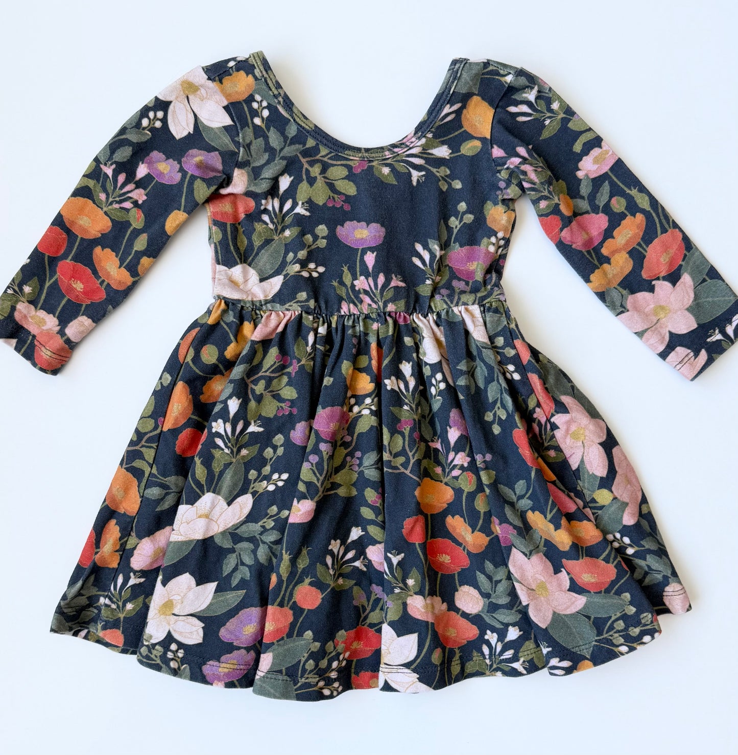 Alice + Ames Dark Spring Floral 3/4 Length Sleeve Ballet Dress (2T)