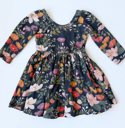 Alice + Ames Dark Spring Floral 3/4 Length Sleeve Ballet Dress (2T)