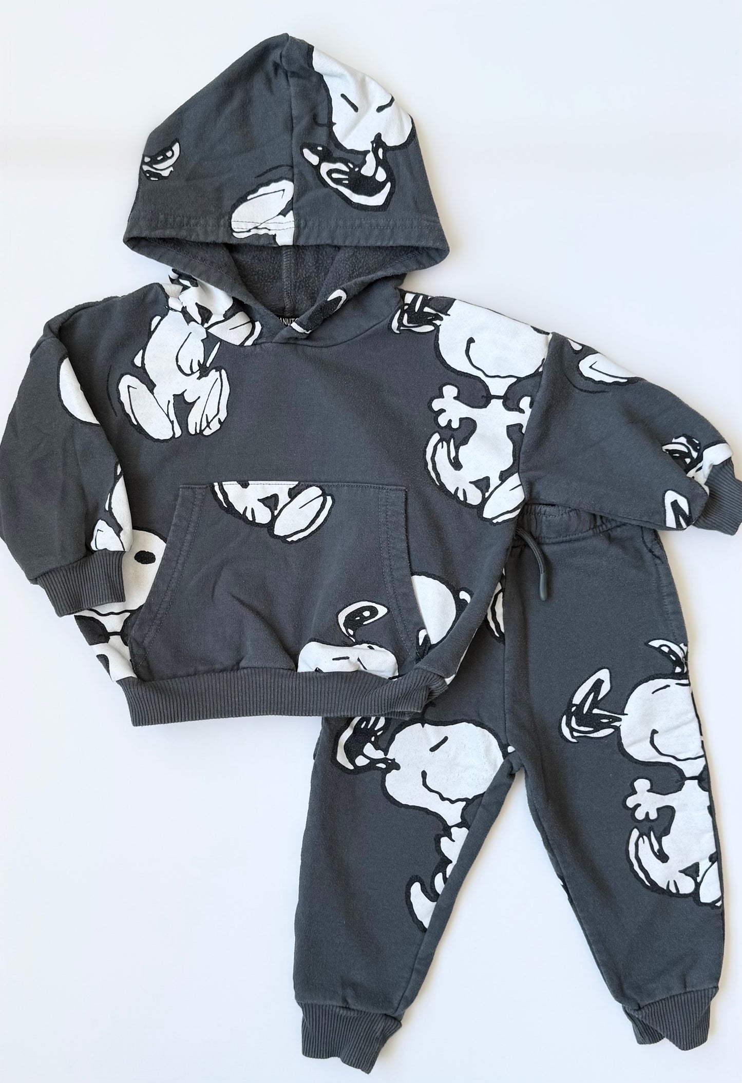 Peanuts x Snoopy Grey Hoodie & Pants Set (18 Months)
