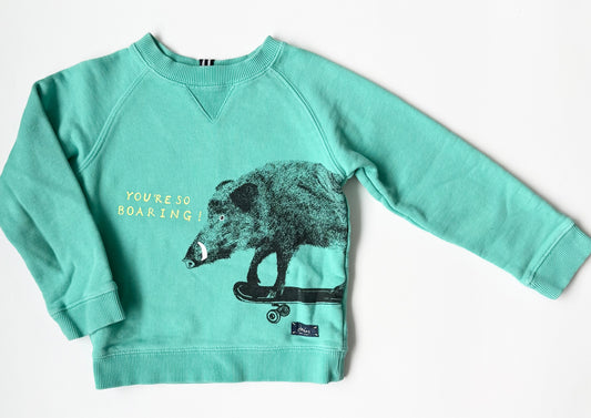 Joules Turquoise “You’re So Boaring!” Sweater (4 Years)