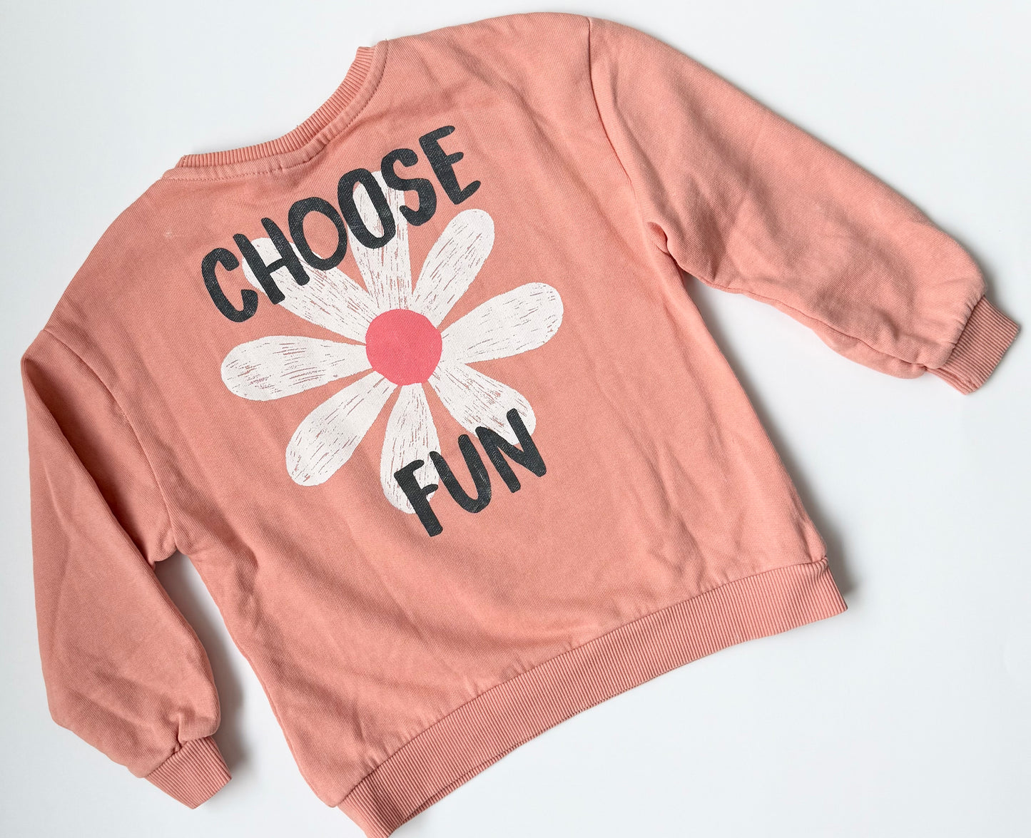 Zara Pink Daisy “Choose Fun” Crewneck Sweater - New (4-5 Years)