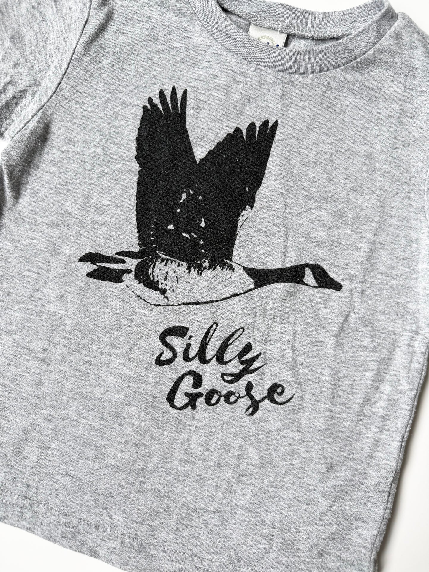 Kavio Grey “Silly Goose” T-Shirt (2/3T)